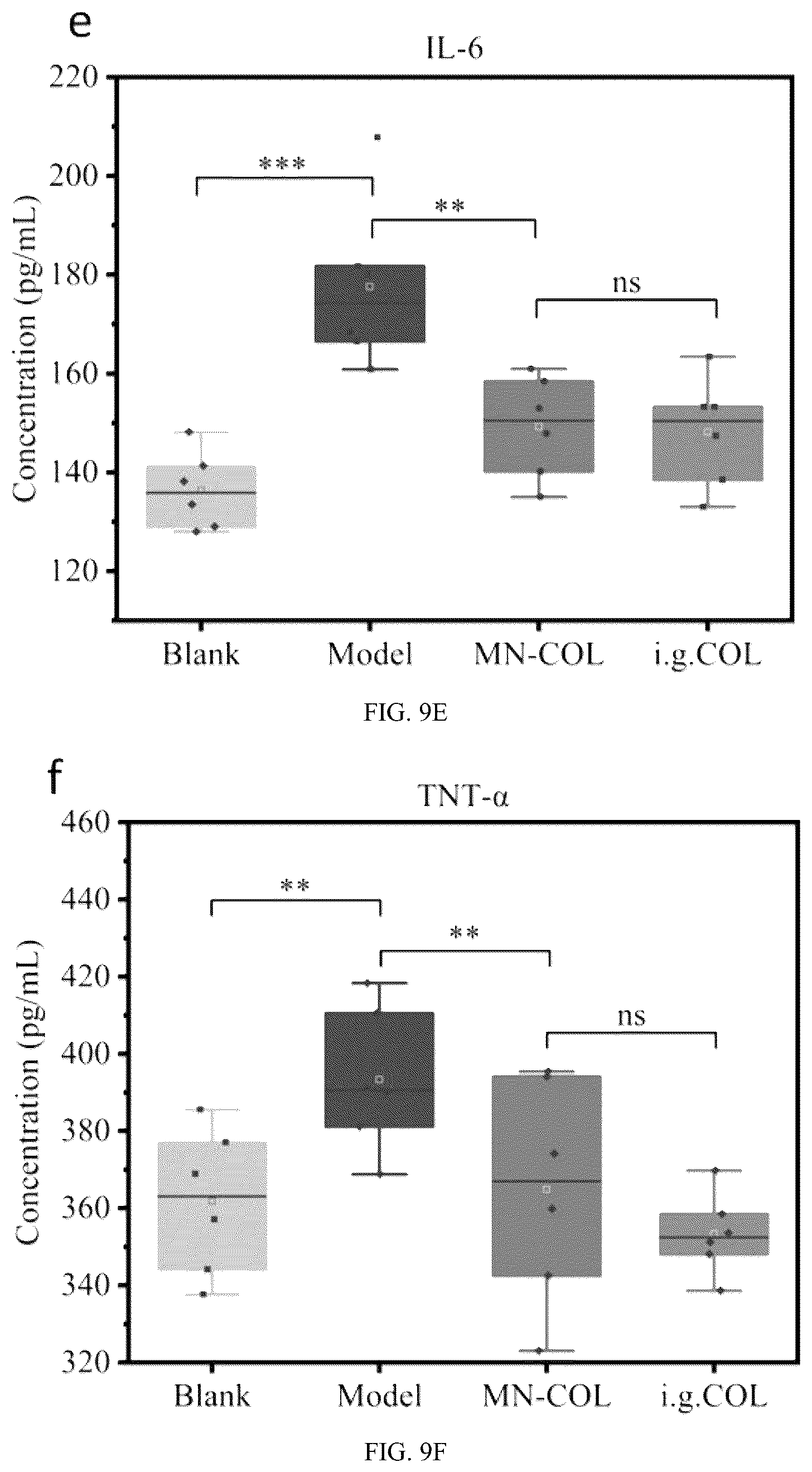 Patent US12303660 Figure 18 – Colchicine hydrogel microneedle and preparation method thereof