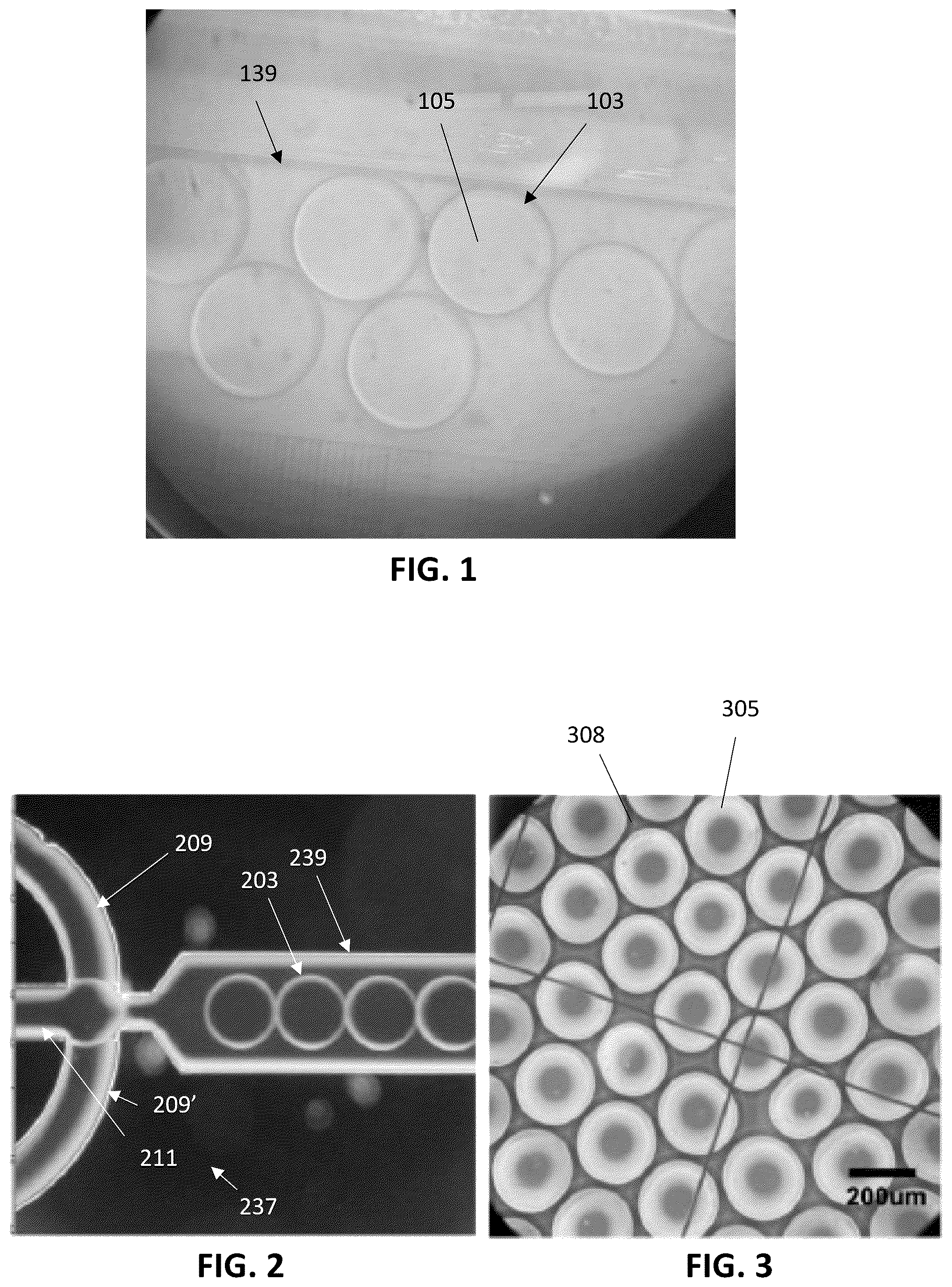 Patent US12303806 Figure 1 – Apparatuses for purification of gel droplets supporting biological tissue