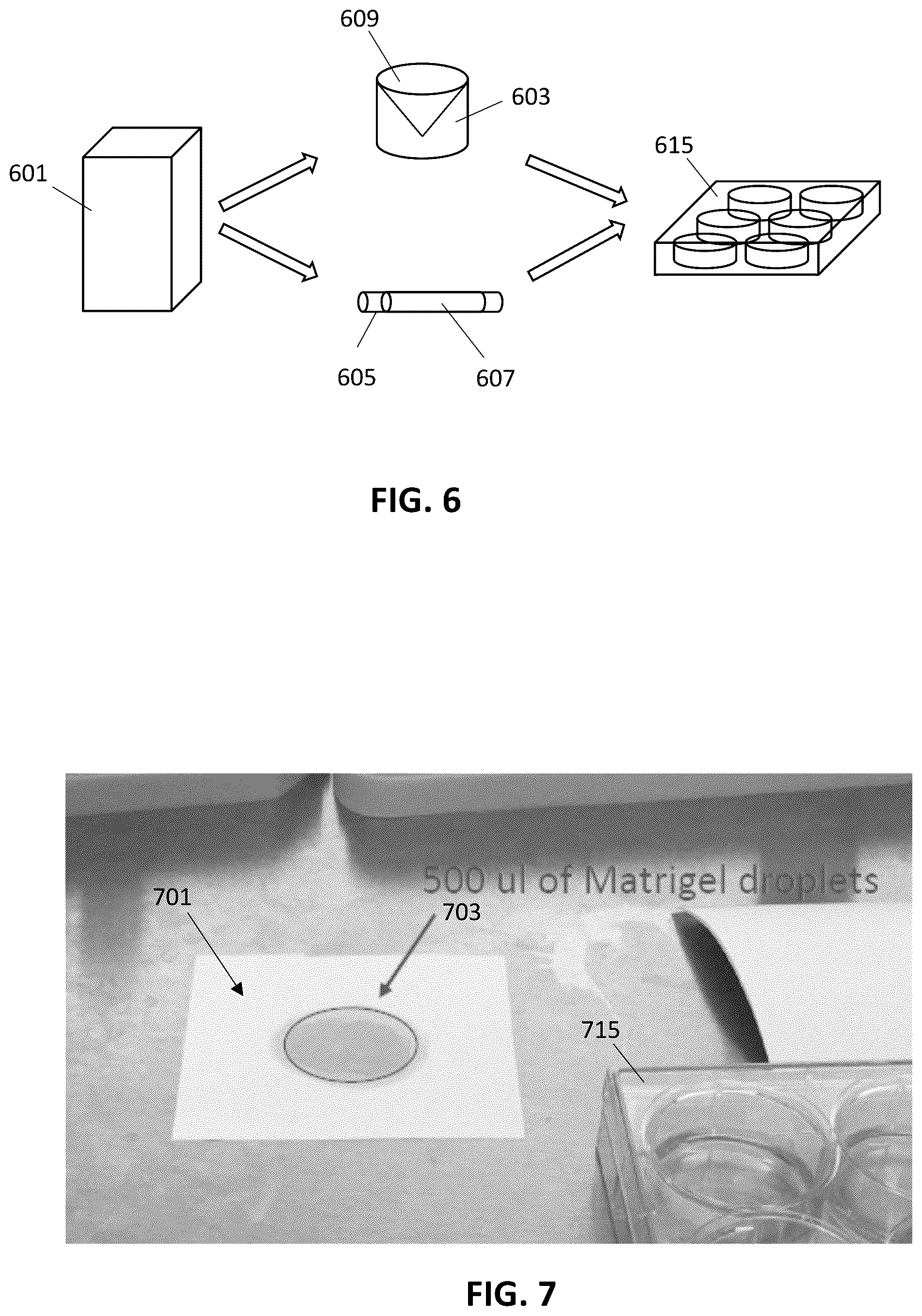Patent US12303806 Figure 4 – Apparatuses for purification of gel droplets supporting biological tissue