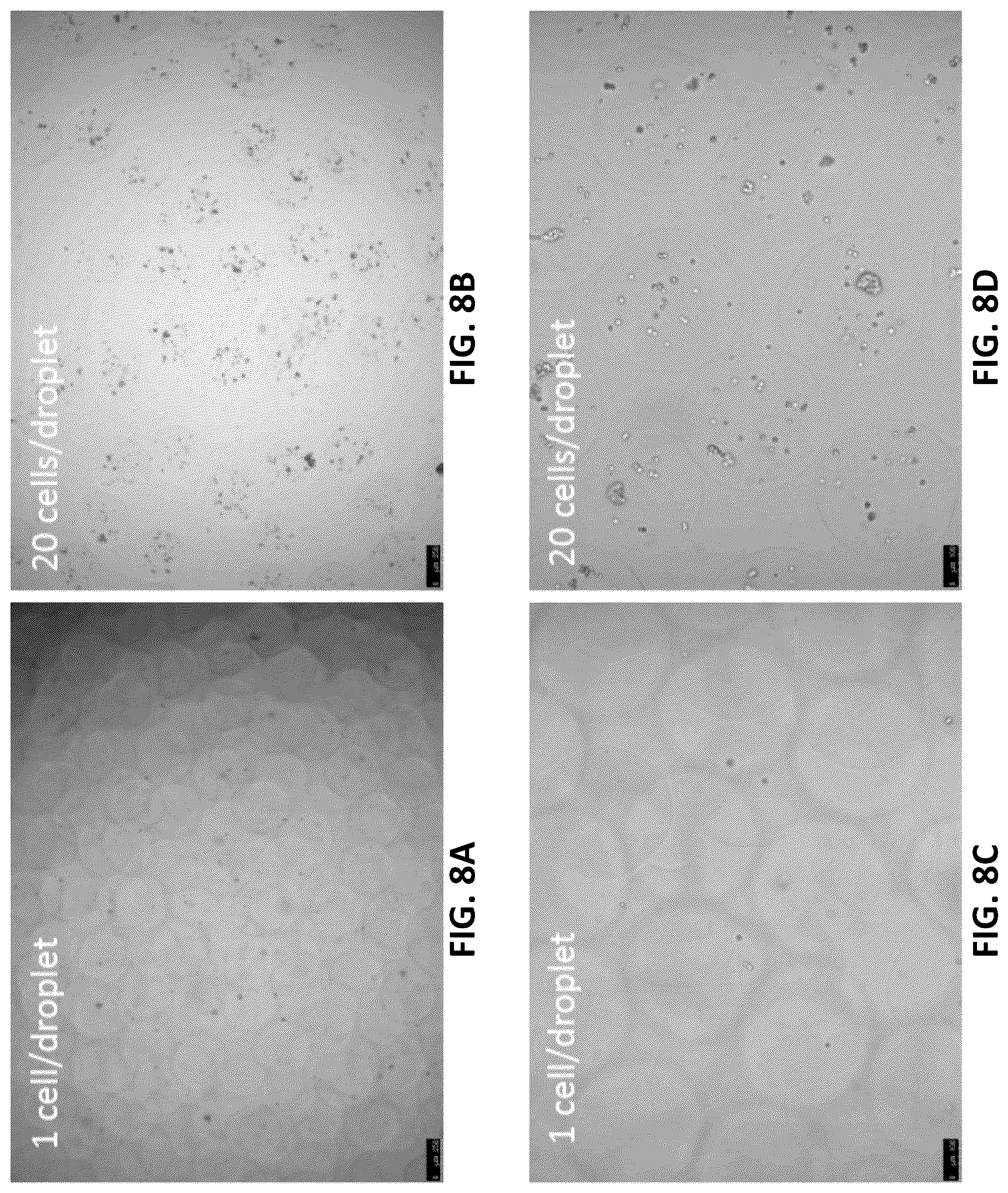 Patent US12303806 Figure 5 – Apparatuses for purification of gel droplets supporting biological tissue