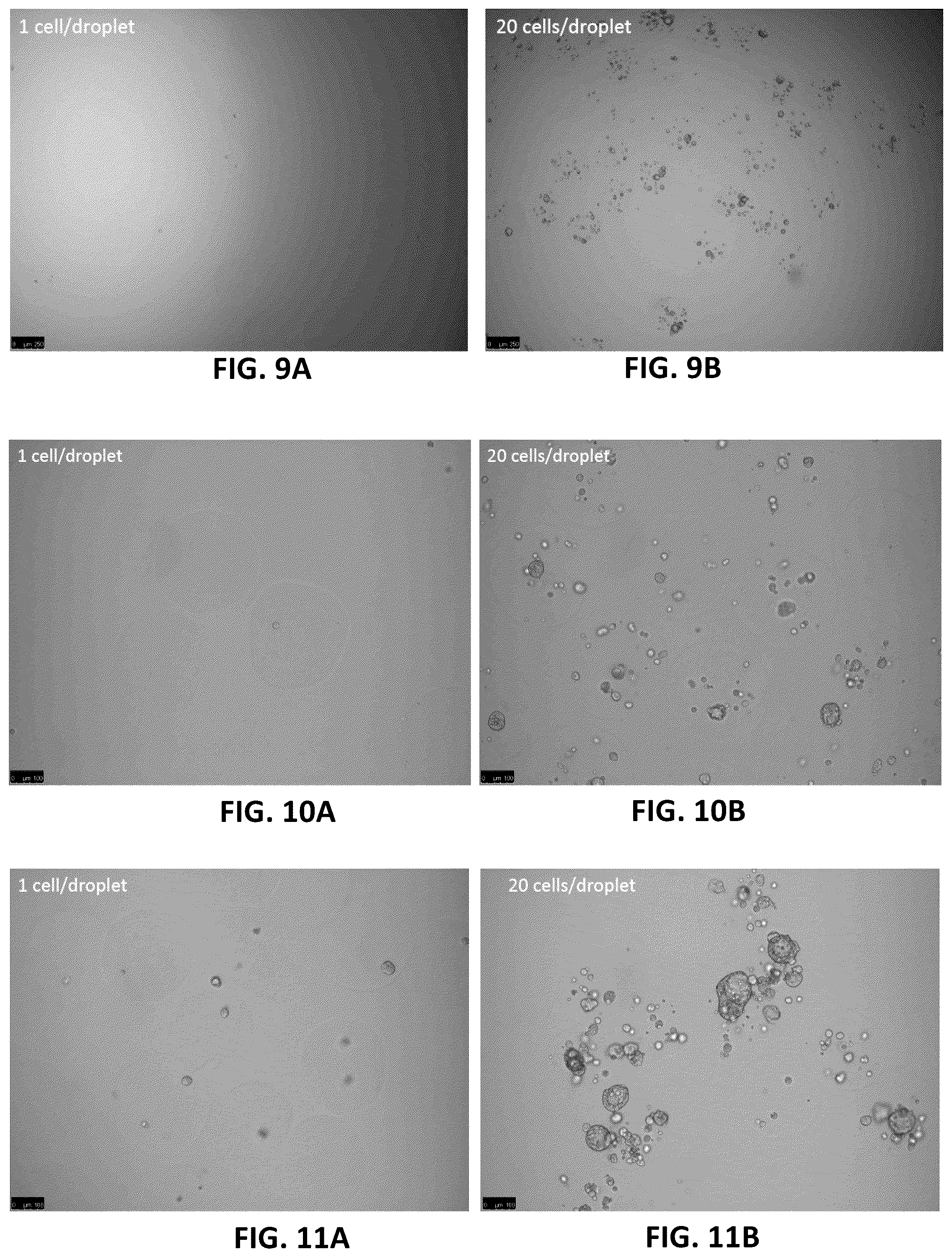Patent US12303806 Figure 6 – Apparatuses for purification of gel droplets supporting biological tissue