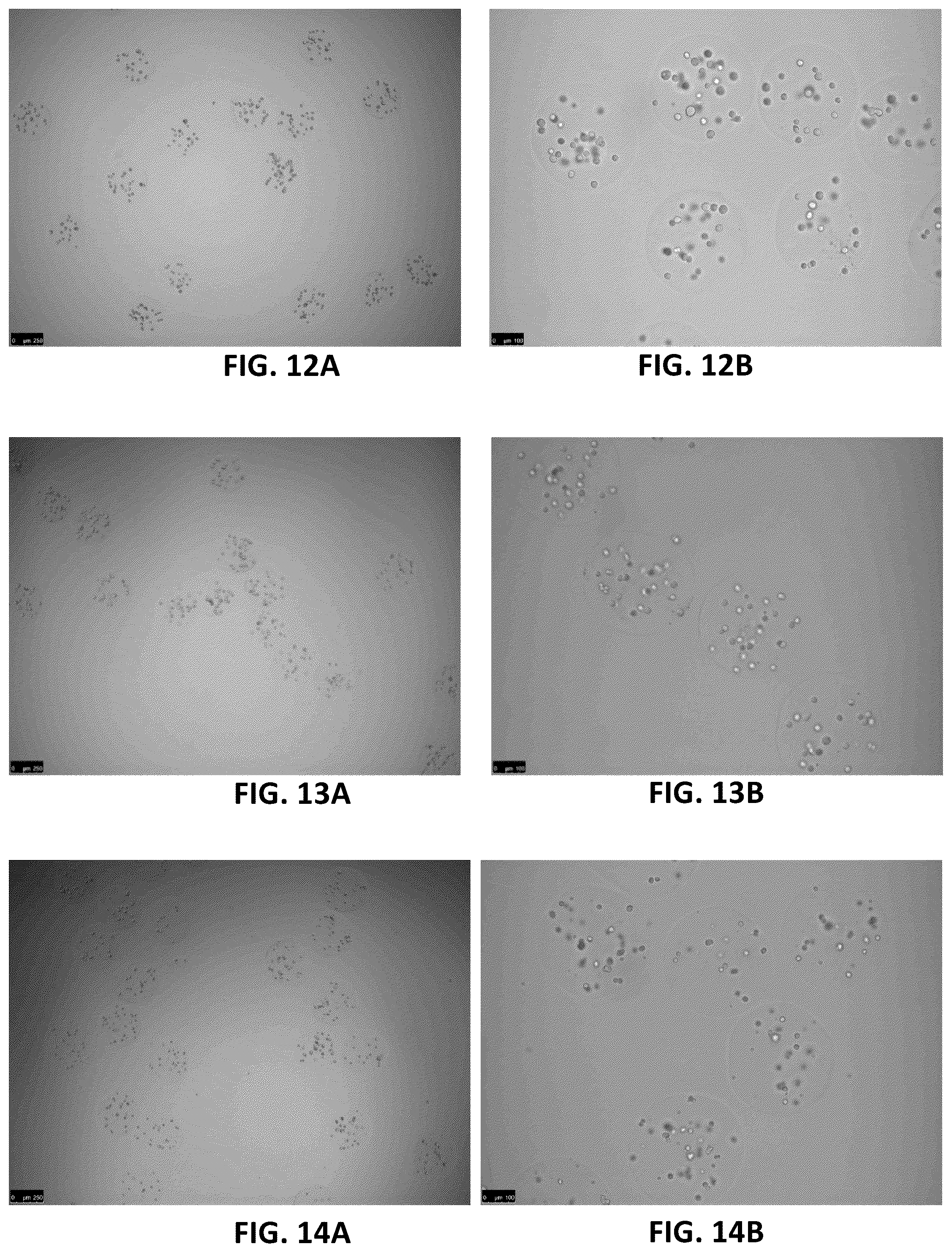 Patent US12303806 Figure 7 – Apparatuses for purification of gel droplets supporting biological tissue