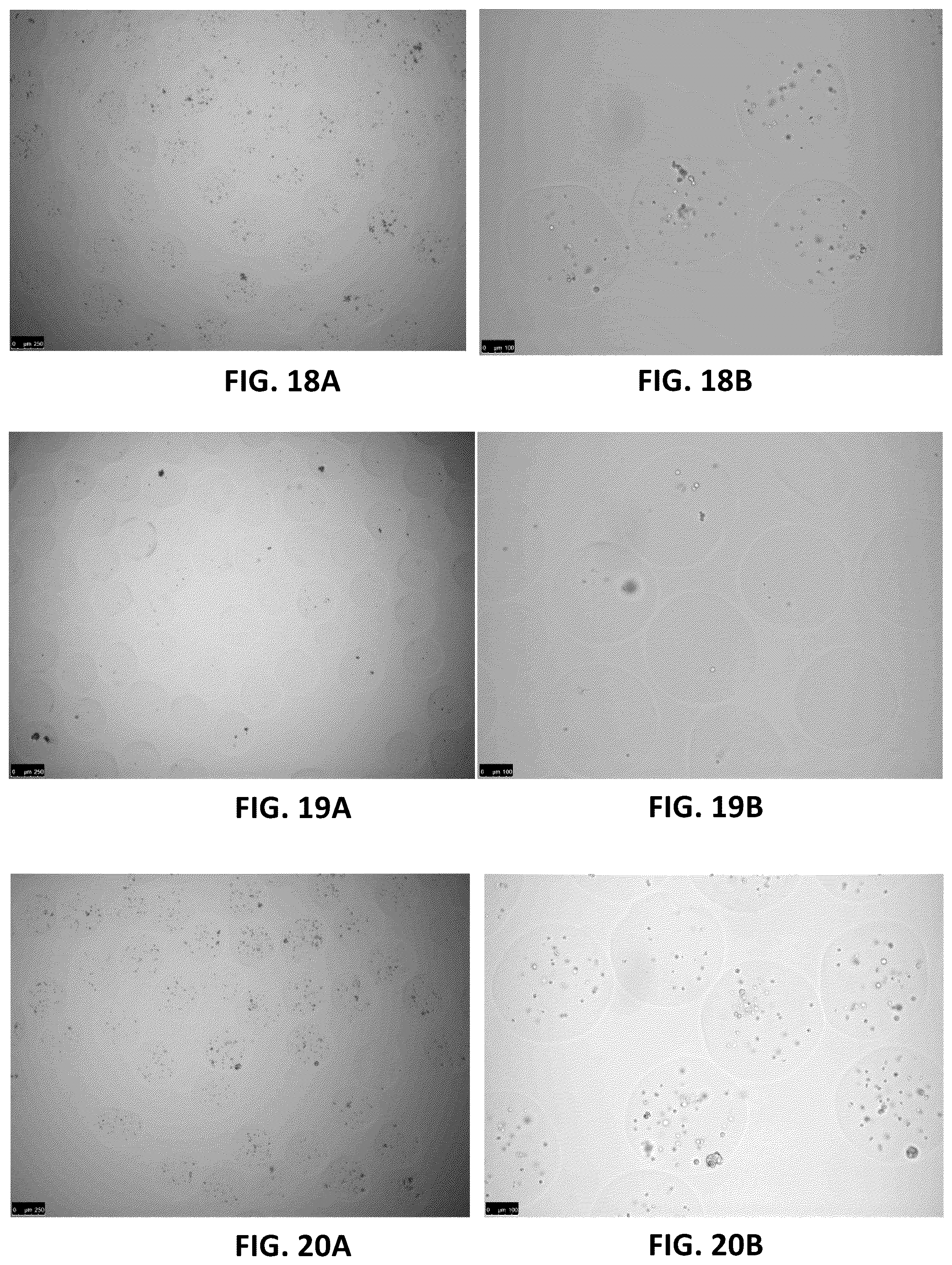 Patent US12303806 Figure 9 – Apparatuses for purification of gel droplets supporting biological tissue