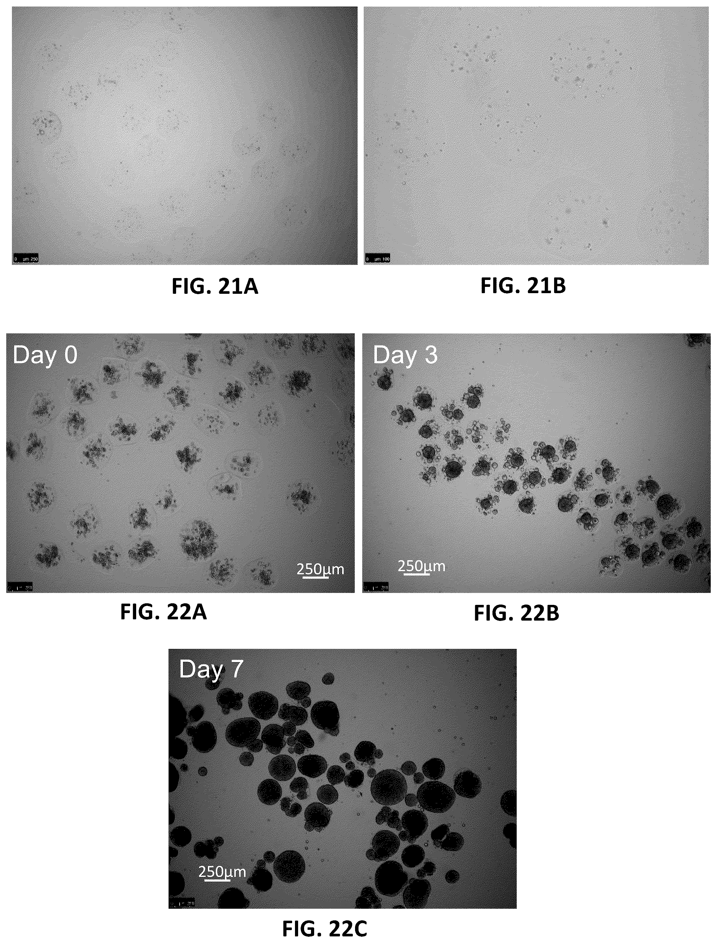 Patent US12303806 Figure 10 – Apparatuses for purification of gel droplets supporting biological tissue