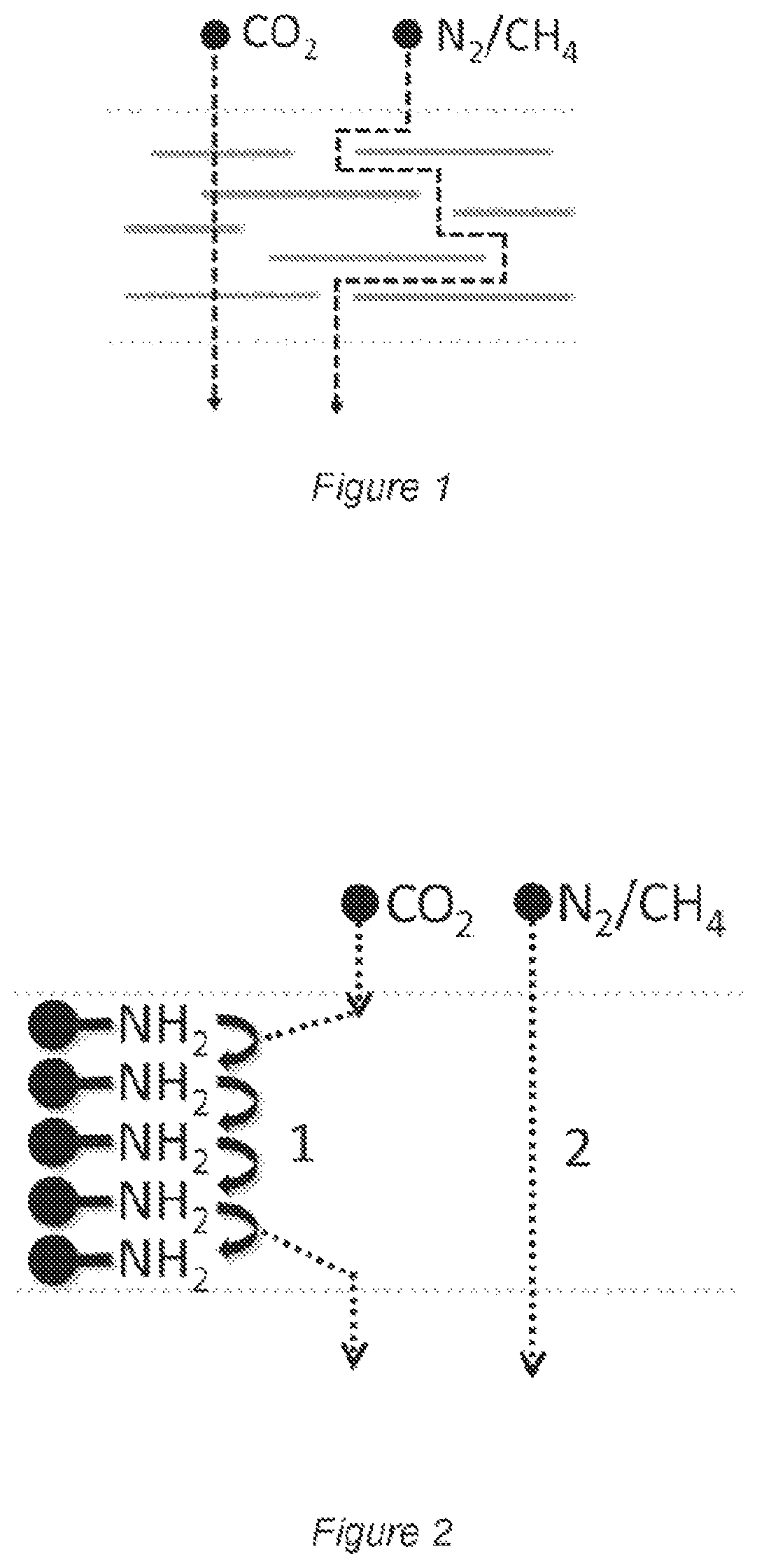 Patent US12303841 — Gas separation article, a method for producing said gas separation article and use thereof — Figure 1
