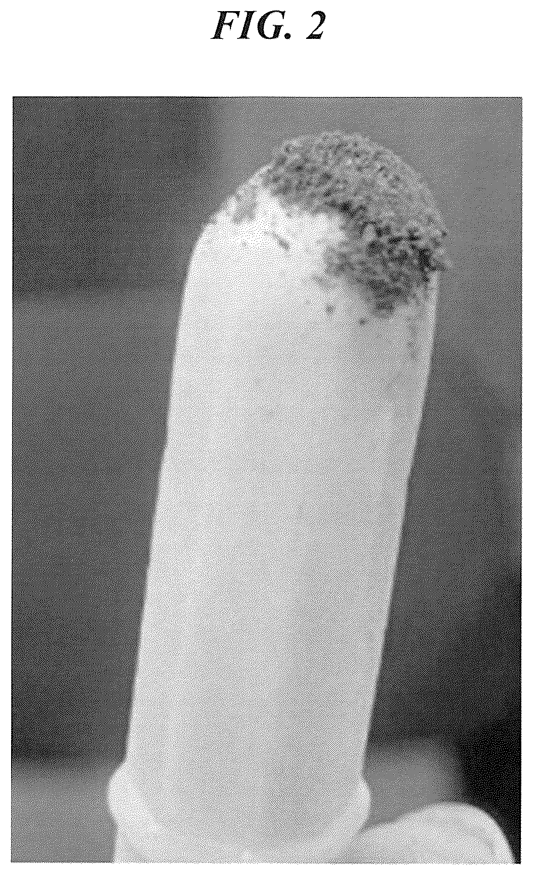 Patent US12303862 Figure 2 – Non-toxic nanomaterial for metals extraction