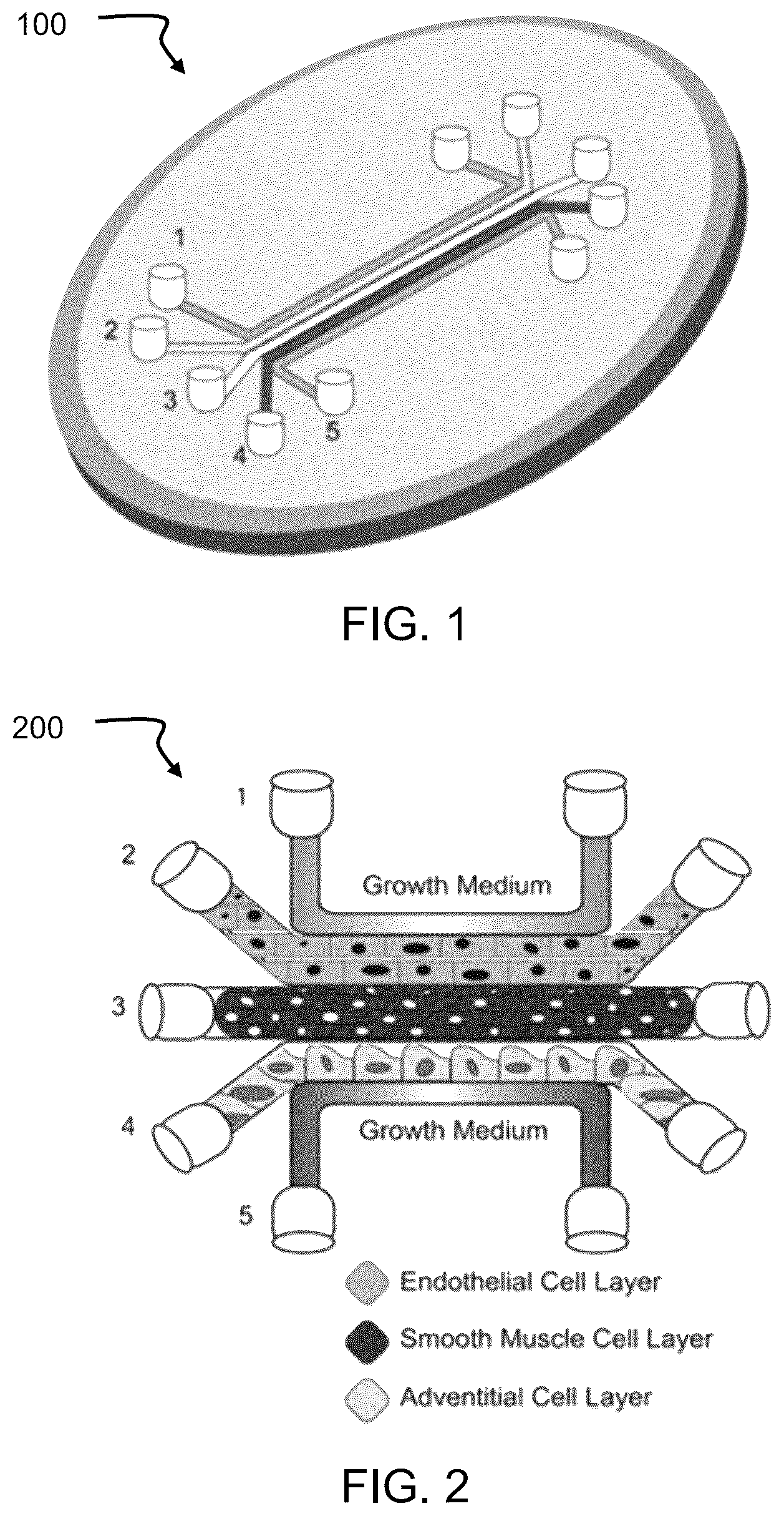 Patent US12303891 — Emulating vascular cellular physiologies — Figure 1