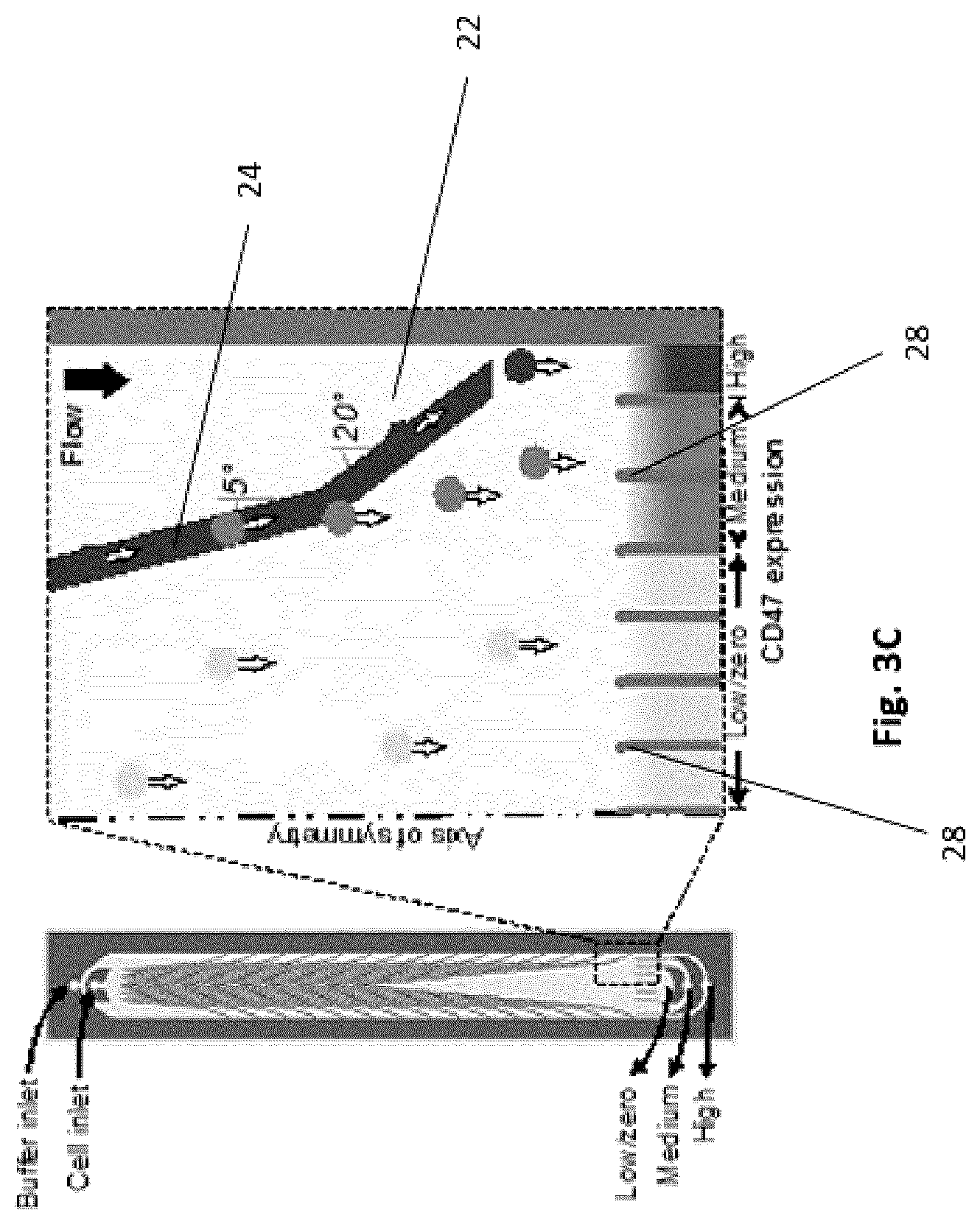 Patent US12303898 Figure 4 – Microfluidic devices and methods of use