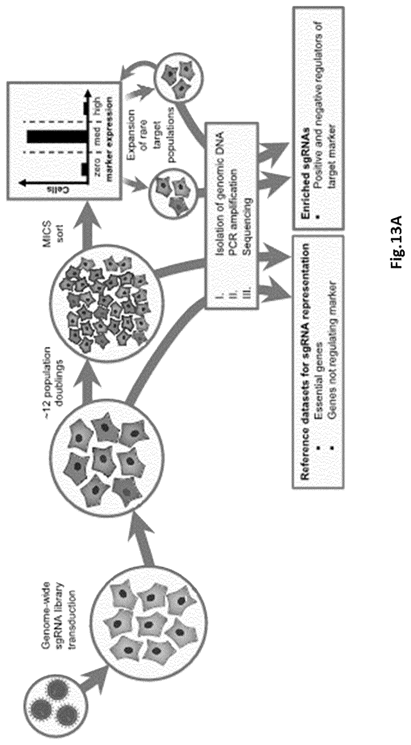 Patent US12303898 Figure 16 – Microfluidic devices and methods of use