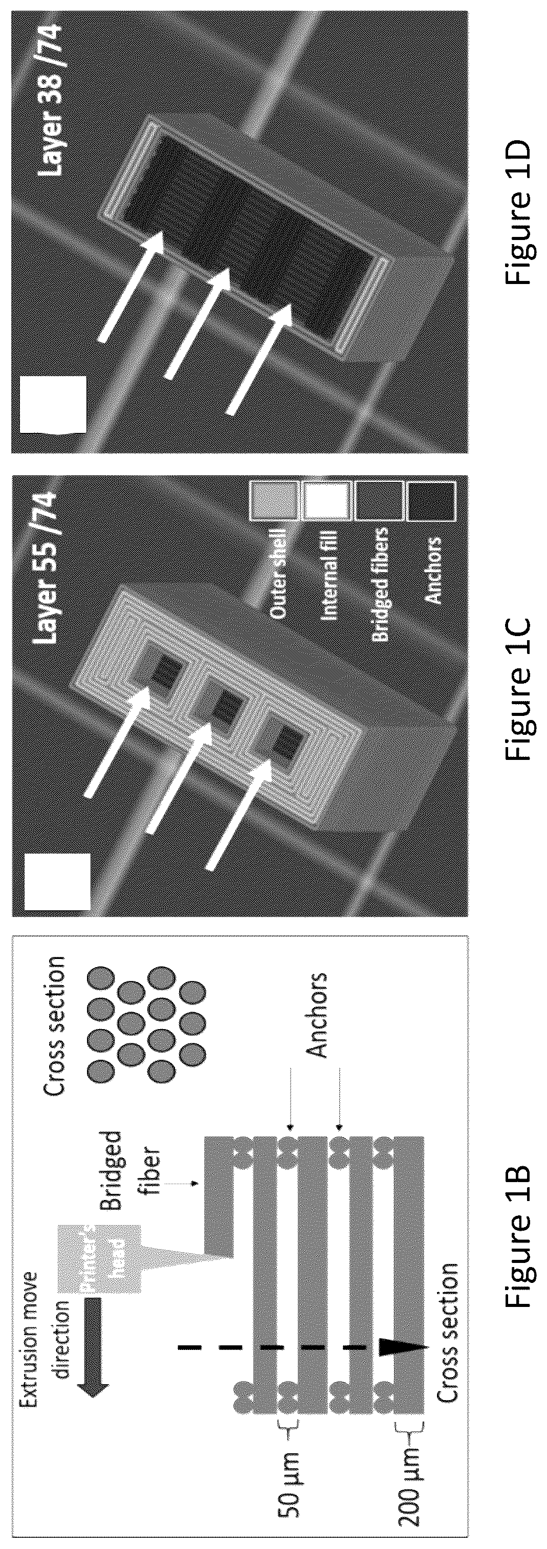 Patent US12304151 Figure 2 – 3D printed biodegradable implants
