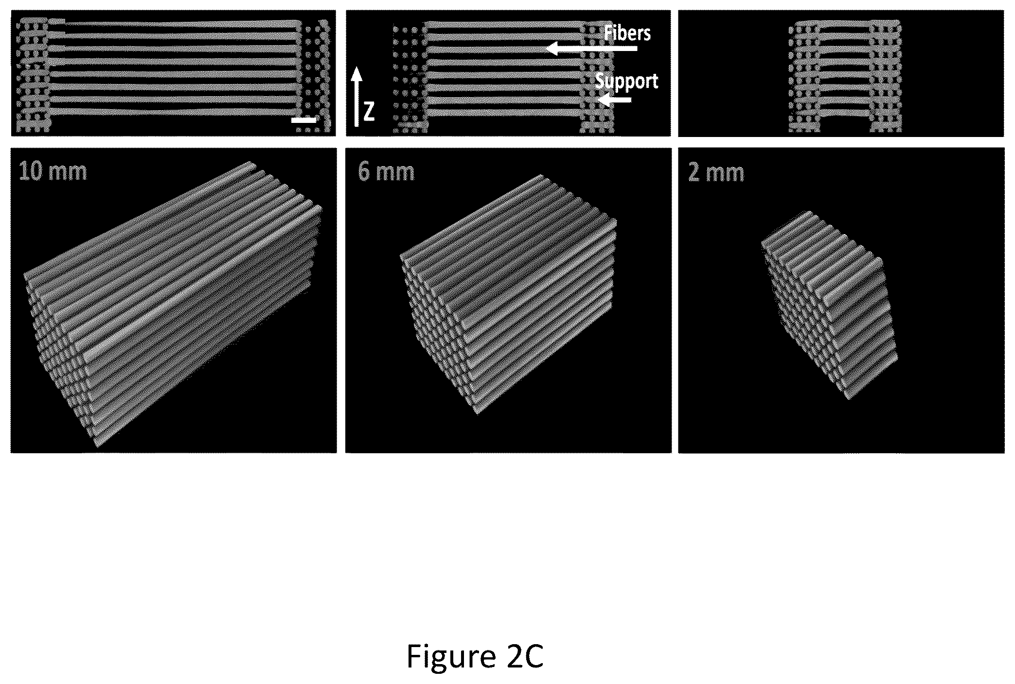 Patent US12304151 Figure 4 – 3D printed biodegradable implants