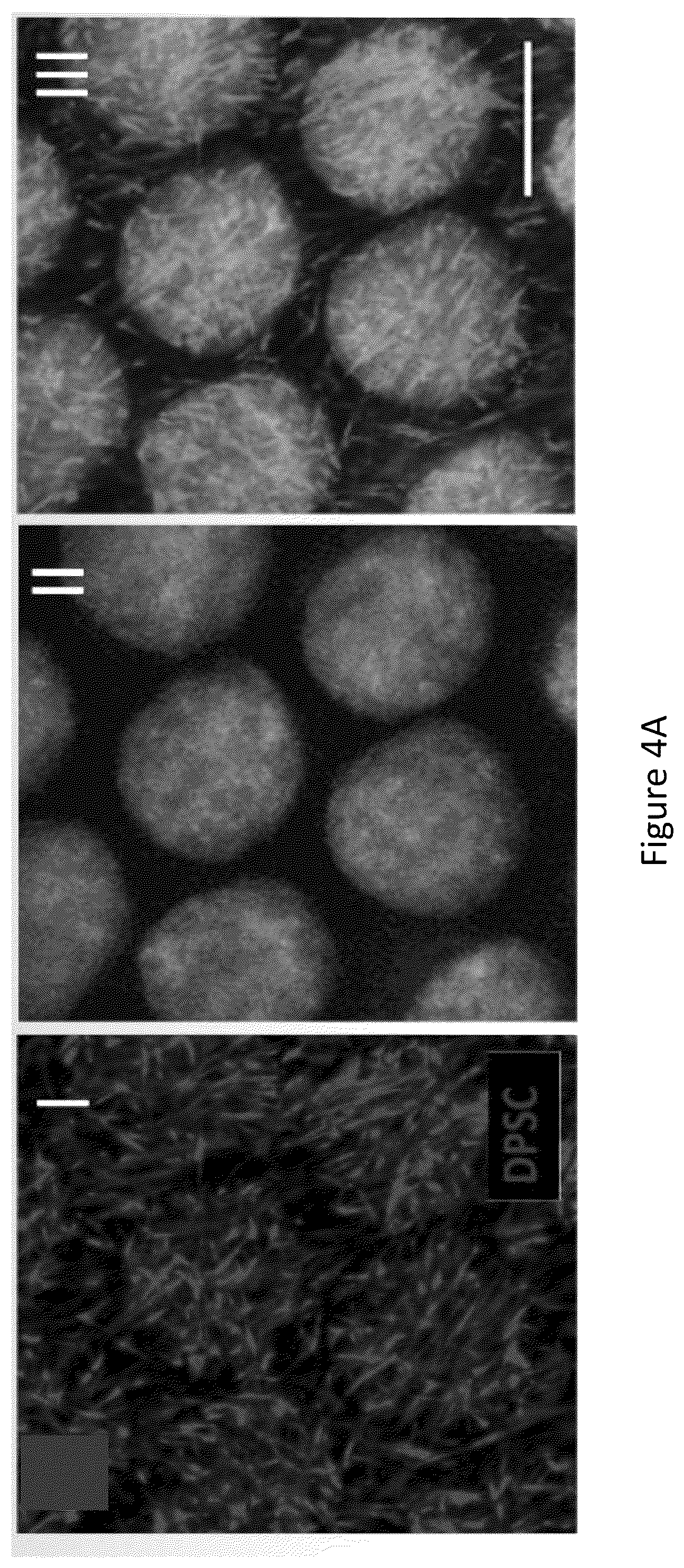Patent US12304151 Figure 13 – 3D printed biodegradable implants
