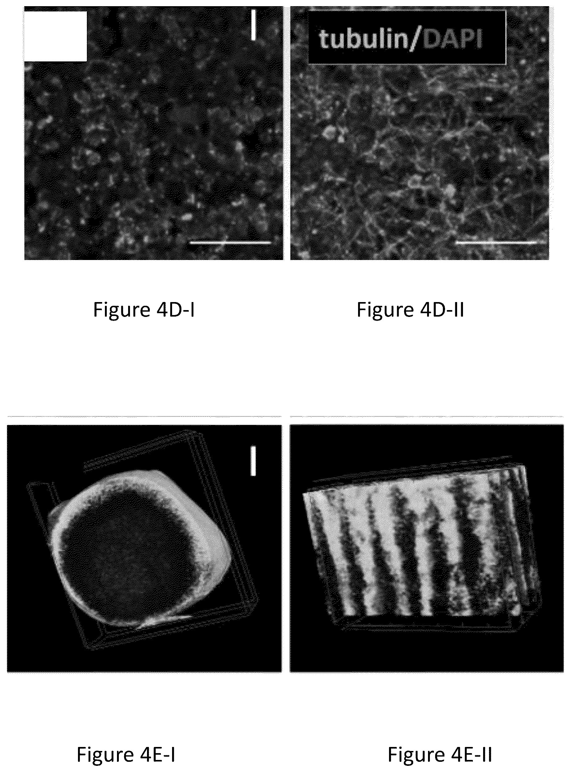 Patent US12304151 Figure 16 – 3D printed biodegradable implants
