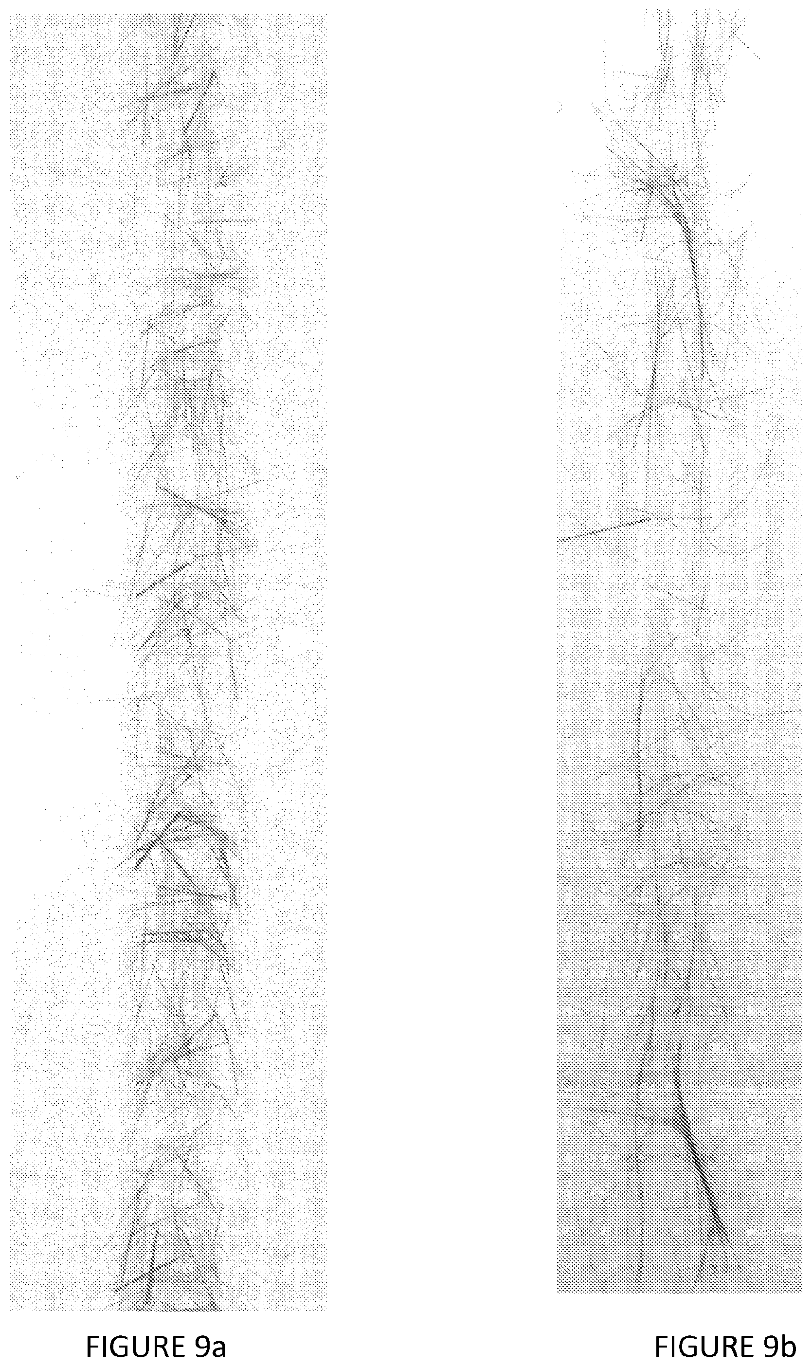 Patent US12304158 Figure 11 – Aligned fibres and a method of making the same
