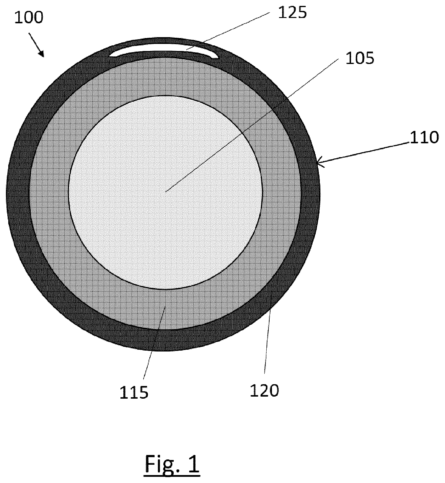 Patent US12304422 Figure 1 – Anti-theft alarm device for wheels / tires of vehicles