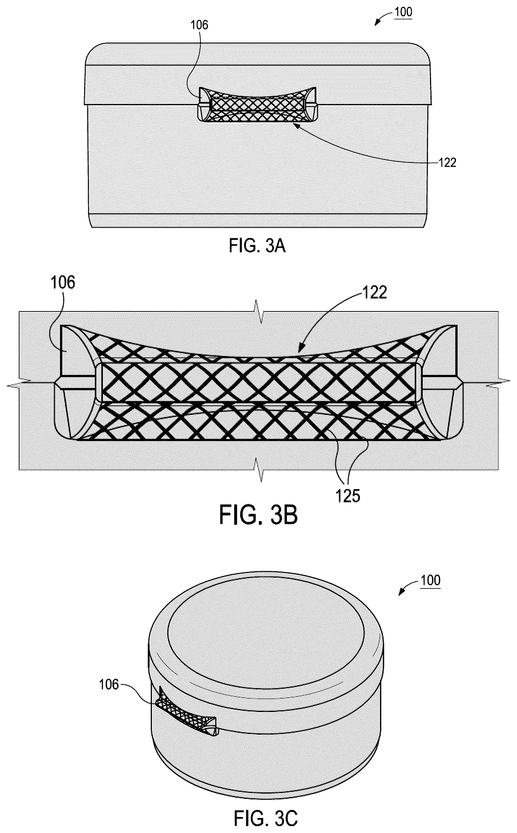 Patent US12304700 Figure 3 – Metallized hinge cap