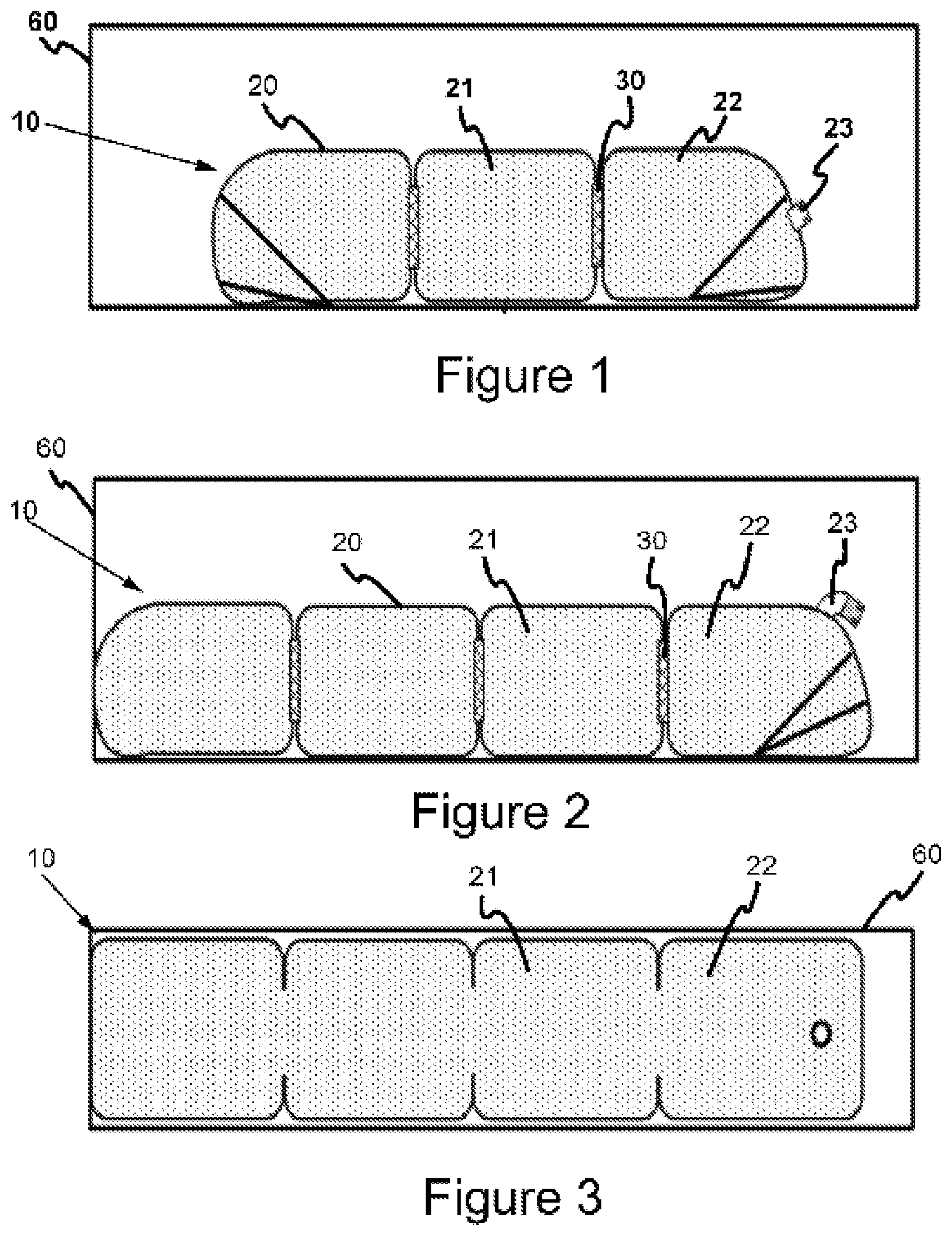 Patent US12304724 Figure 1 – Flexible tank having ring part