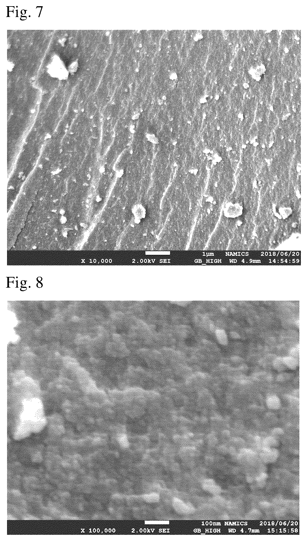Patent US12304818 Figure 4 – Porous carbon and resin composition