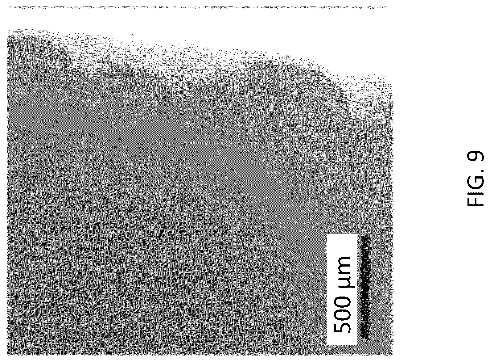 Patent US12304821 Figure 9 – Additive-free carbon particle dispersions, pastes, gels and doughs