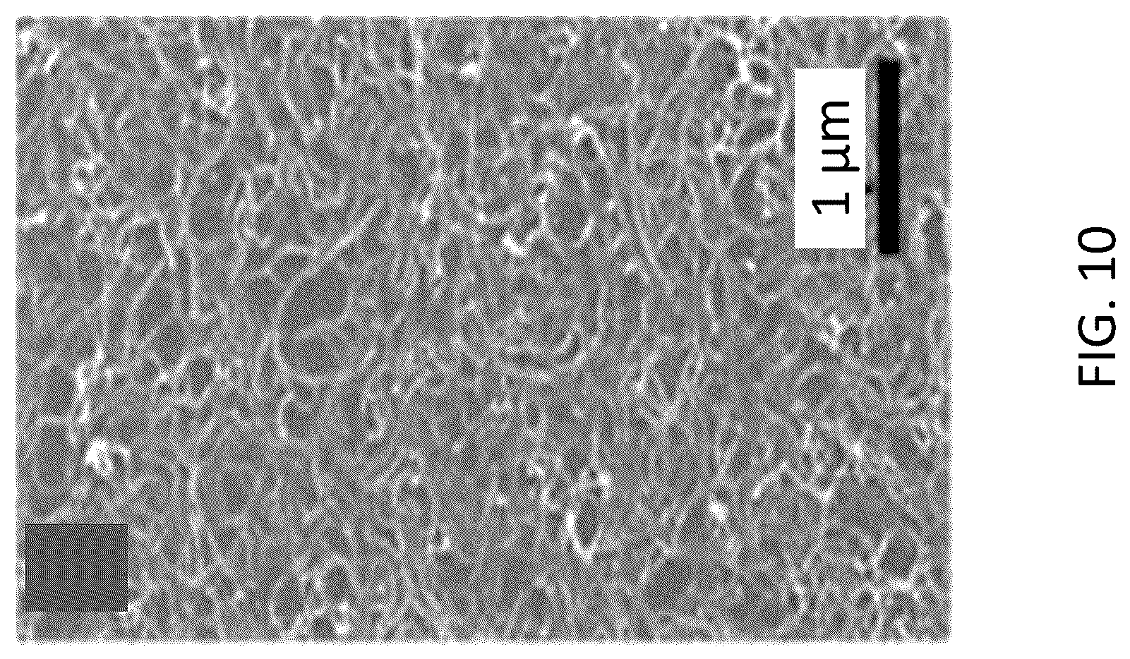 Patent US12304821 Figure 10 – Additive-free carbon particle dispersions, pastes, gels and doughs