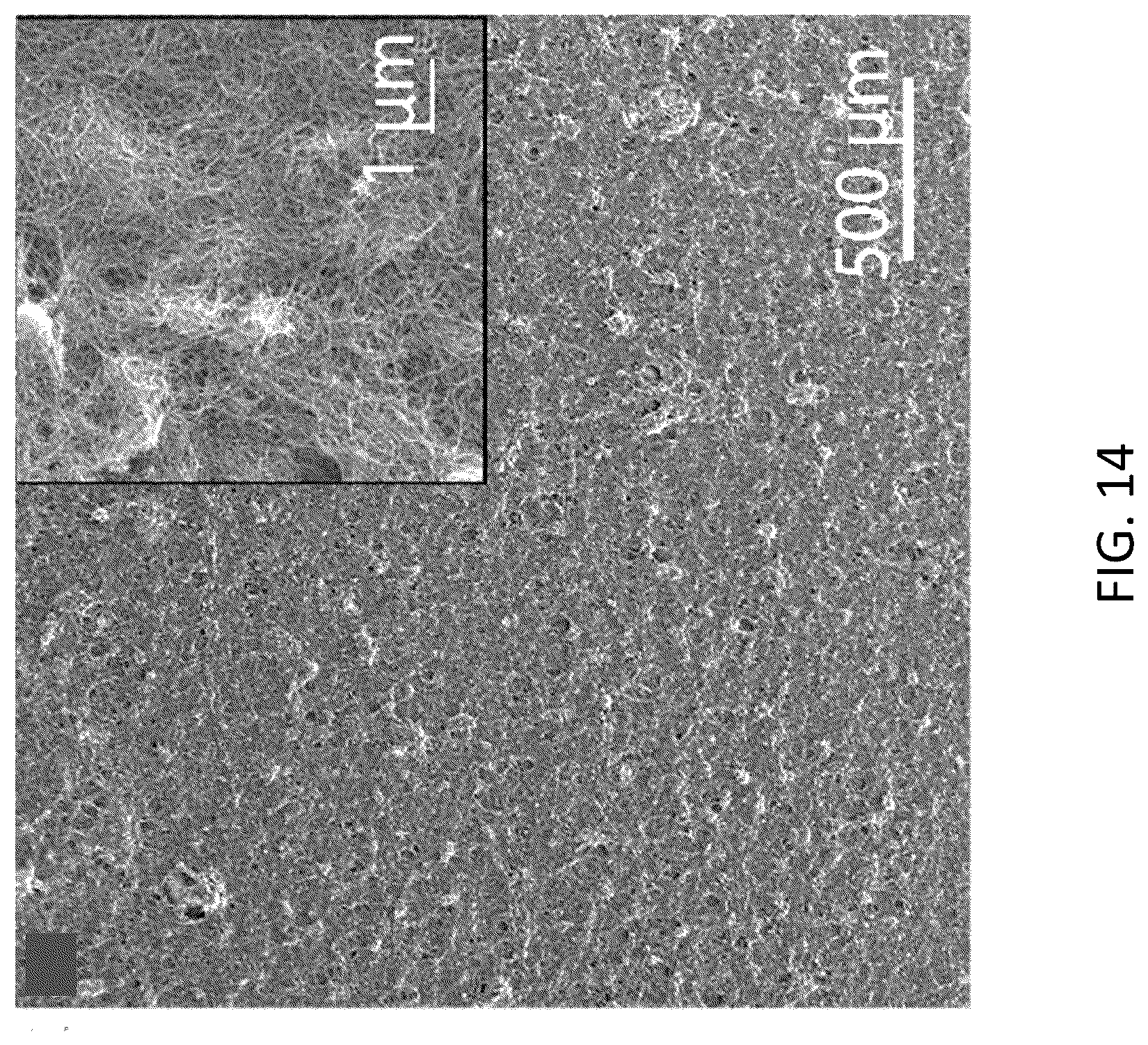 Patent US12304821 Figure 14 – Additive-free carbon particle dispersions, pastes, gels and doughs