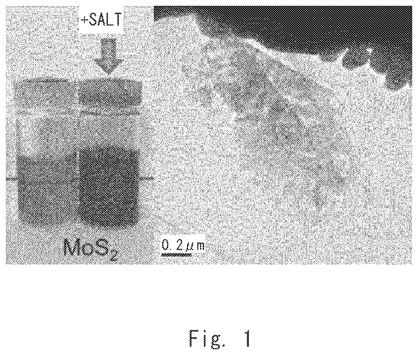 Patent US12304822 Figure 1 – Inorganic particle composite, method for producing the same, and inorganic particle composite dispersion