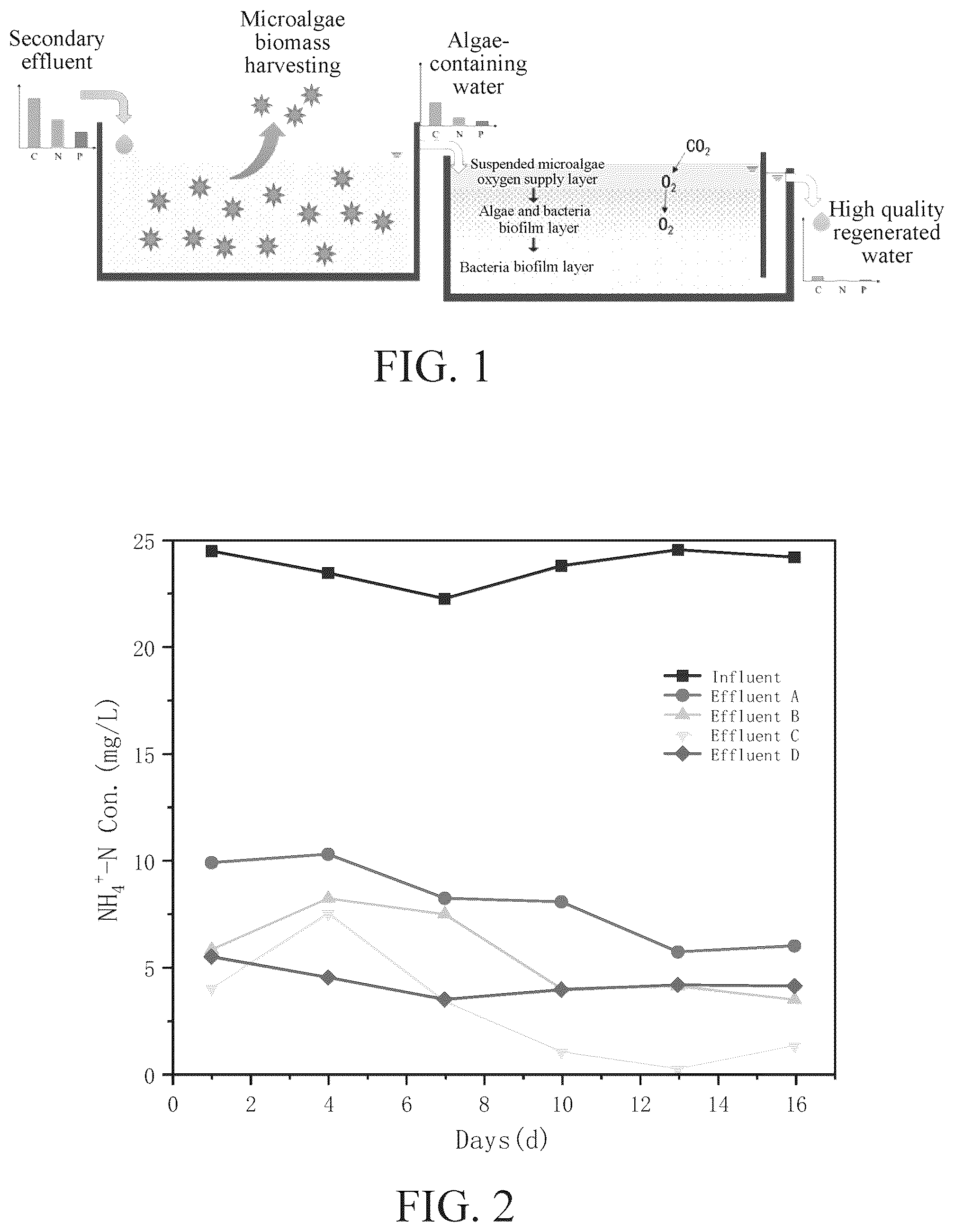 Patent US12304847 — Microalgae culturing pond-constructed wetland coupled system and method for advanced sewage purification — Figure 1