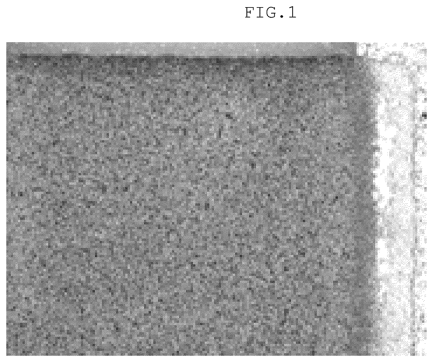 Patent US12304860 — Thick film resistor paste, thick film resistor, and electronic component — Figure 1