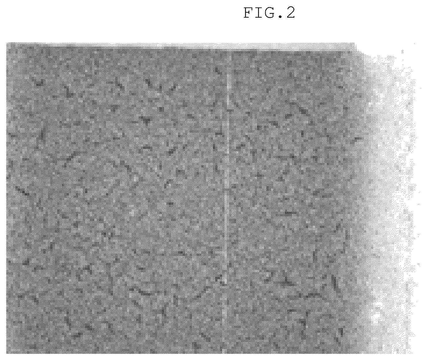Patent US12304860 Figure 2 – Thick film resistor paste, thick film resistor, and electronic component