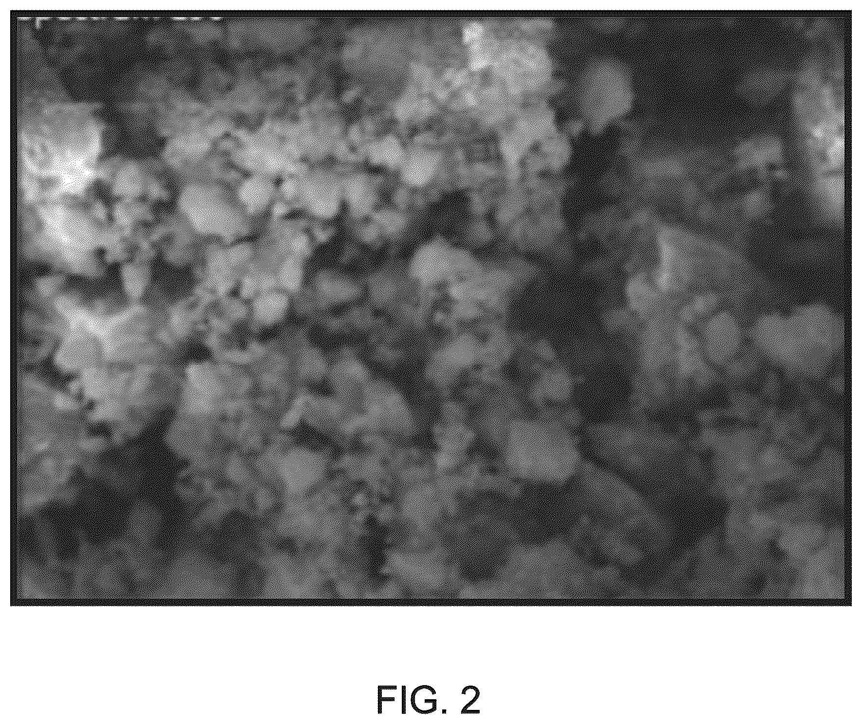 Patent US12304863 Figure 2 – Recycled concrete waste powder and aggregates with heavy oil fuel ash for producing a green flowable backfill material