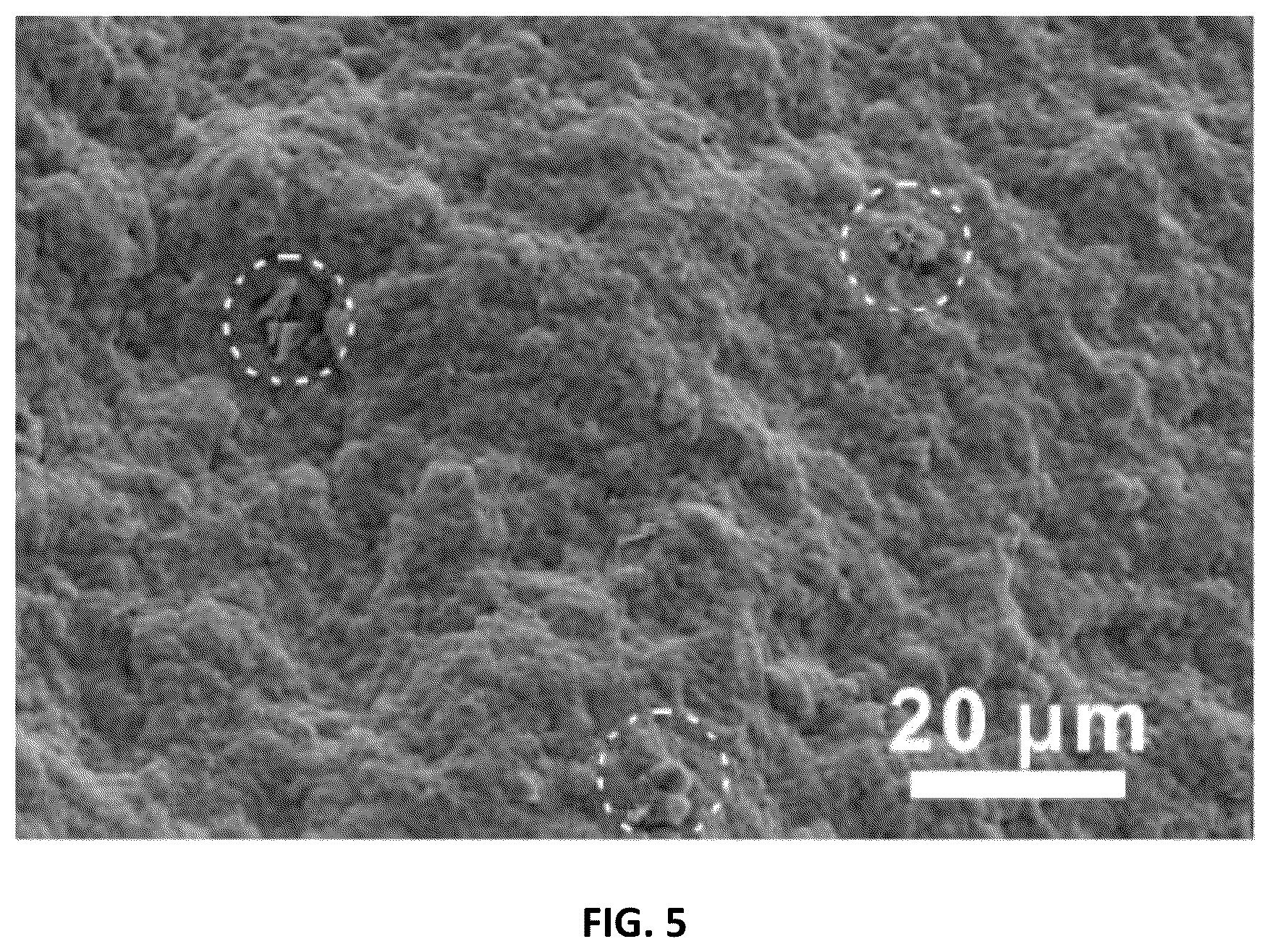Patent US12304868 Figure 8 – Method for preparing ceramic materials and products thereof
