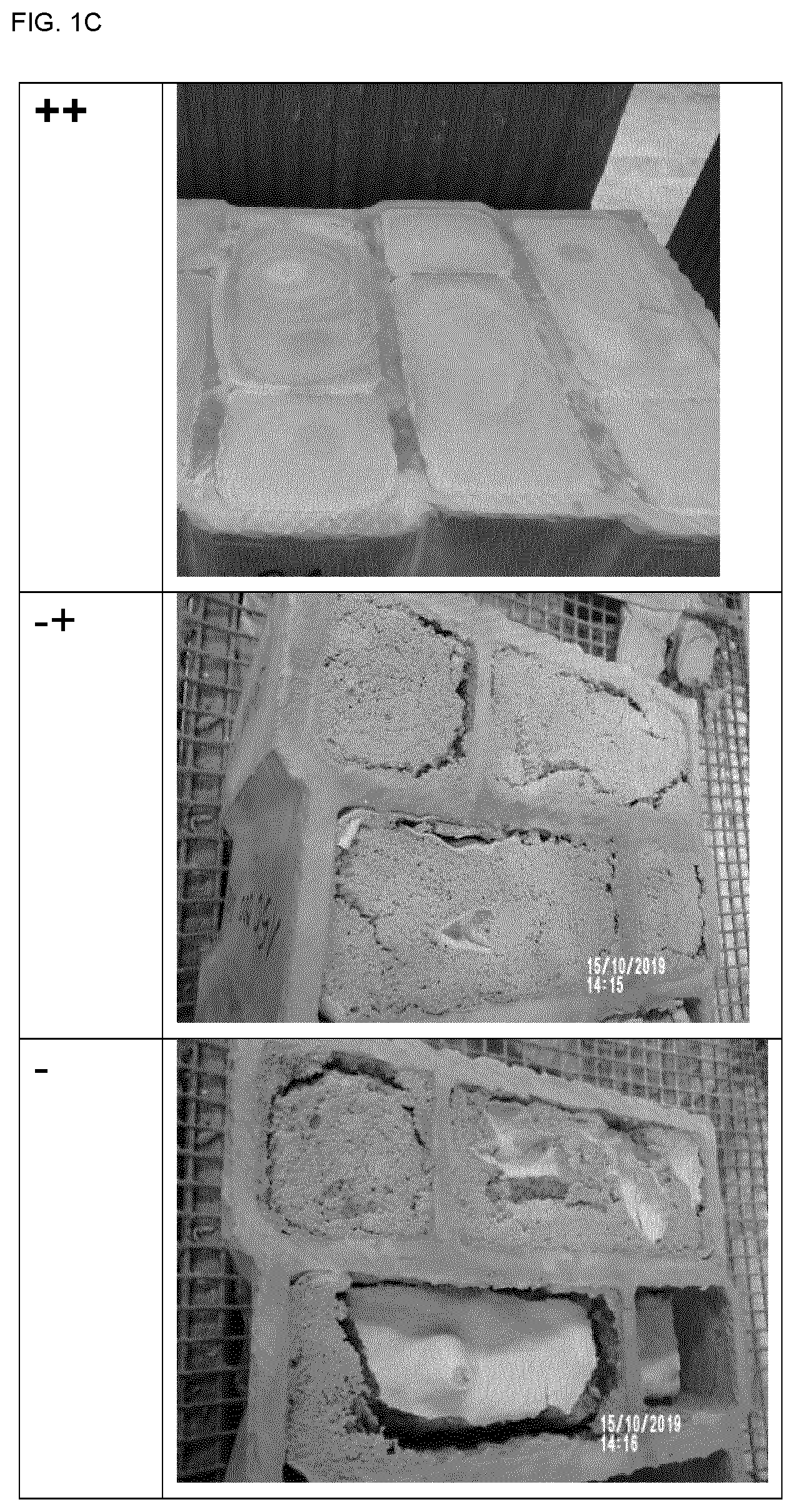 Patent US12304872 Figure 3 – Method for producing a composite insulating mineral construction element