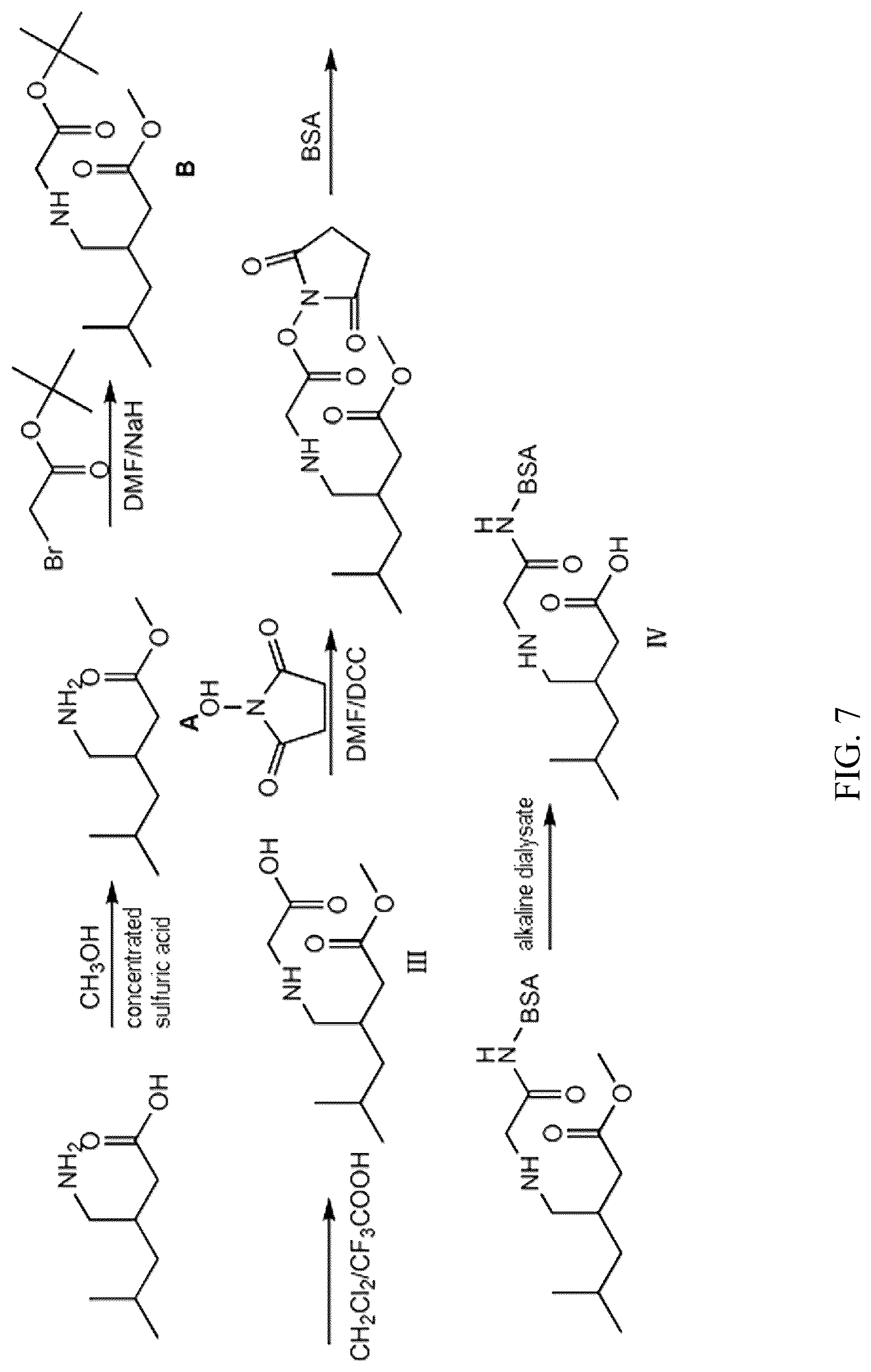 Patent US12304882 Figure 7 – Pregabalin artificial hapten, artificial antigen and preparation method therefor and application thereof