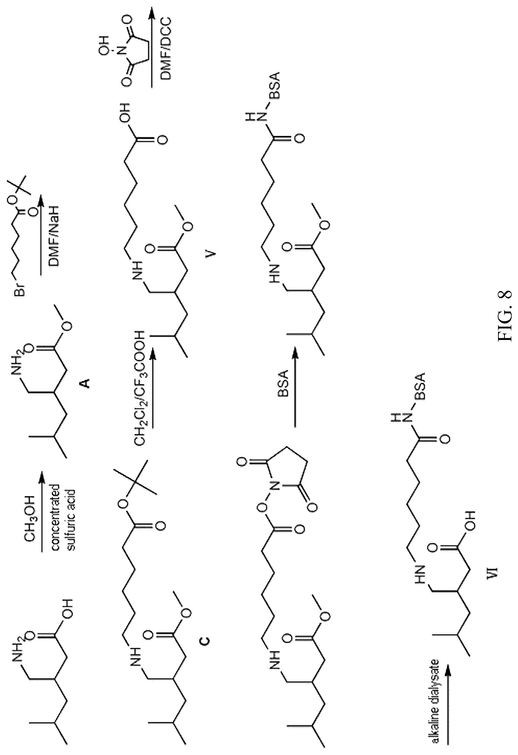 Patent US12304882 Figure 8 – Pregabalin artificial hapten, artificial antigen and preparation method therefor and application thereof
