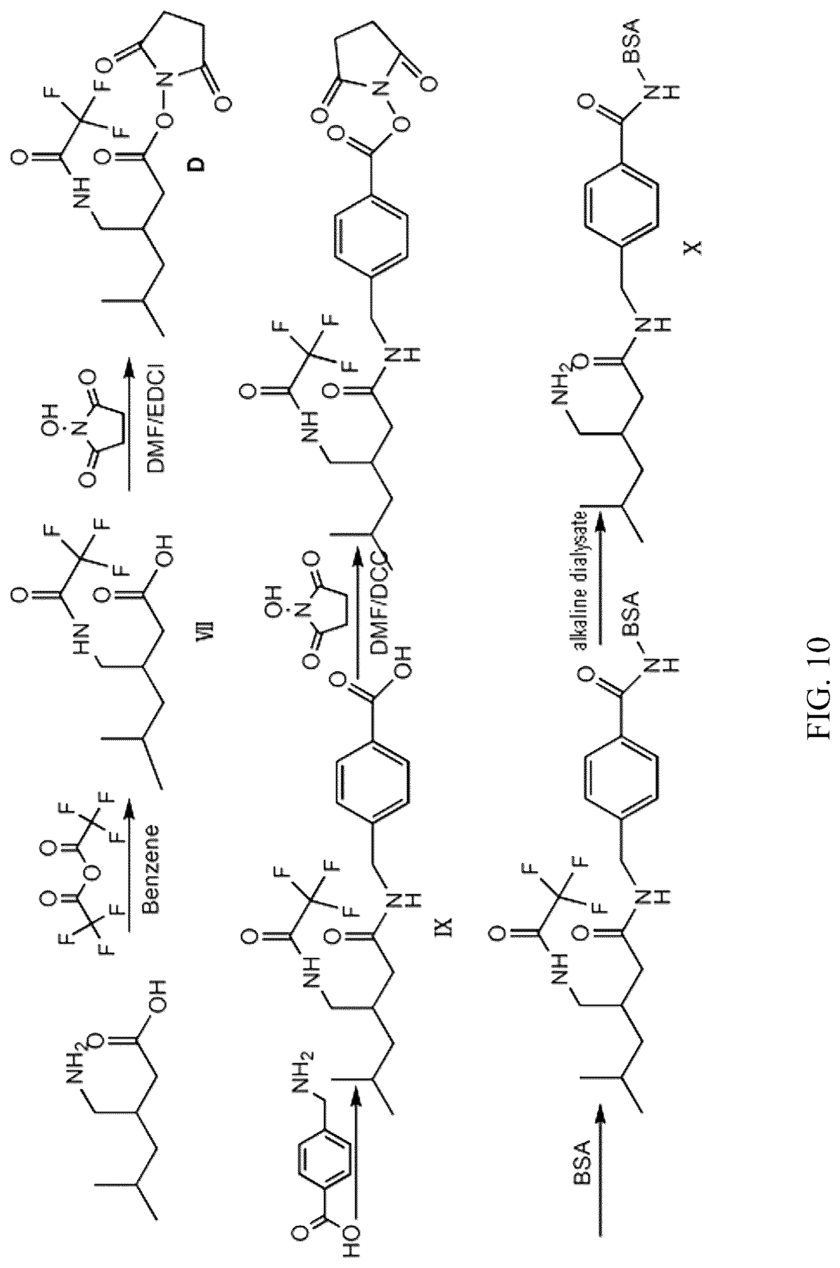 Patent US12304882 Figure 10 – Pregabalin artificial hapten, artificial antigen and preparation method therefor and application thereof