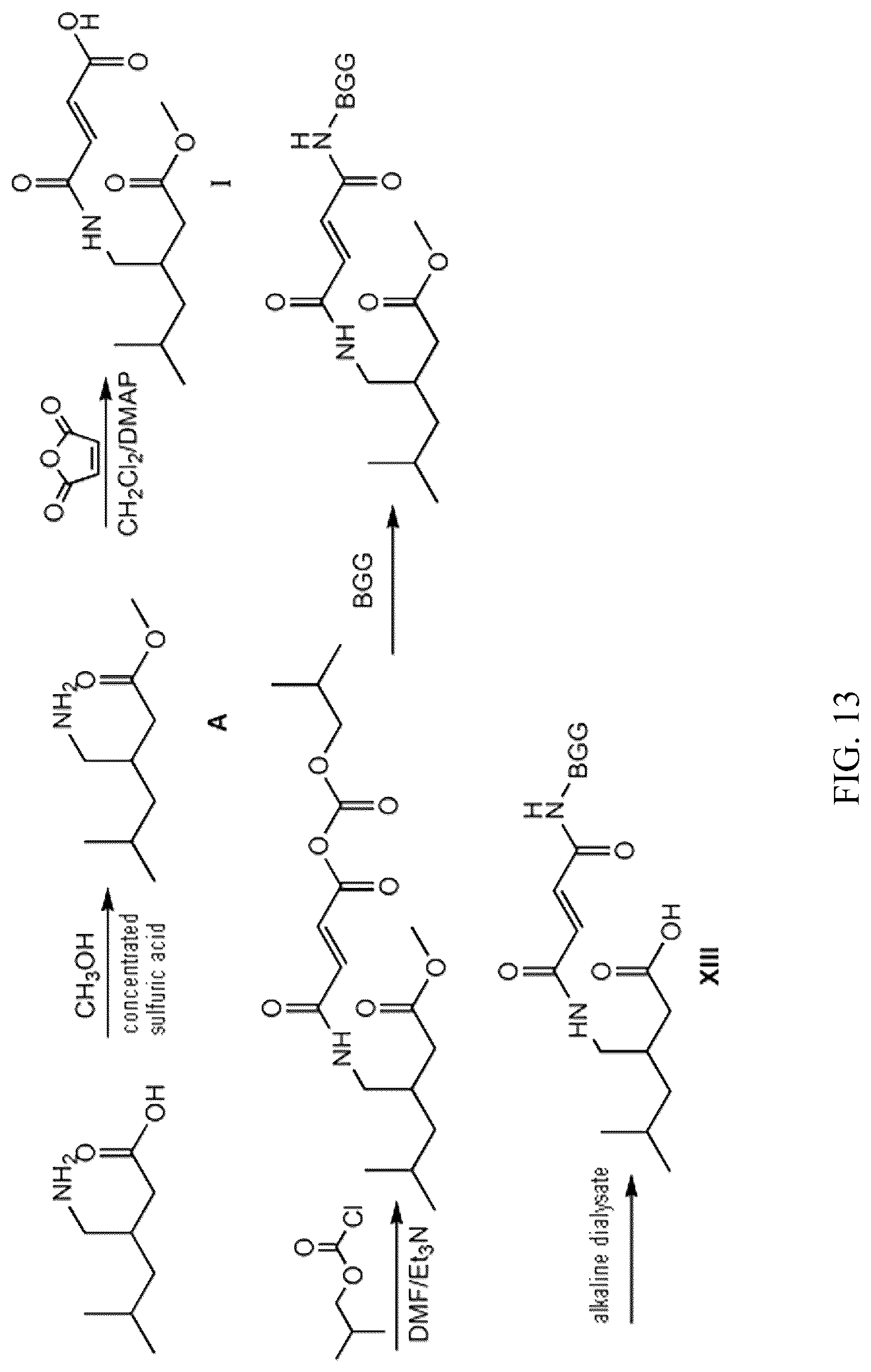 Patent US12304882 Figure 13 – Pregabalin artificial hapten, artificial antigen and preparation method therefor and application thereof