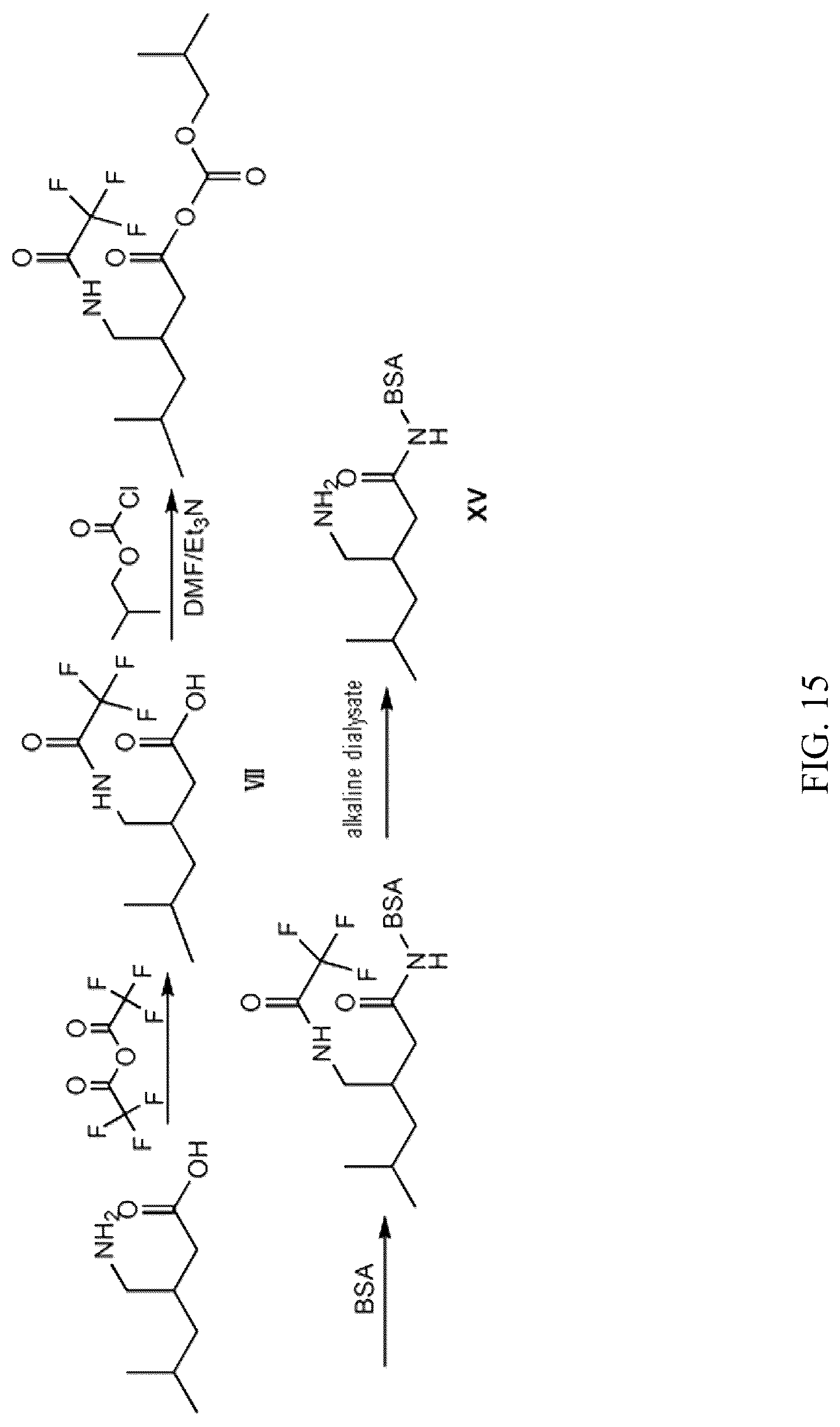 Patent US12304882 Figure 15 – Pregabalin artificial hapten, artificial antigen and preparation method therefor and application thereof