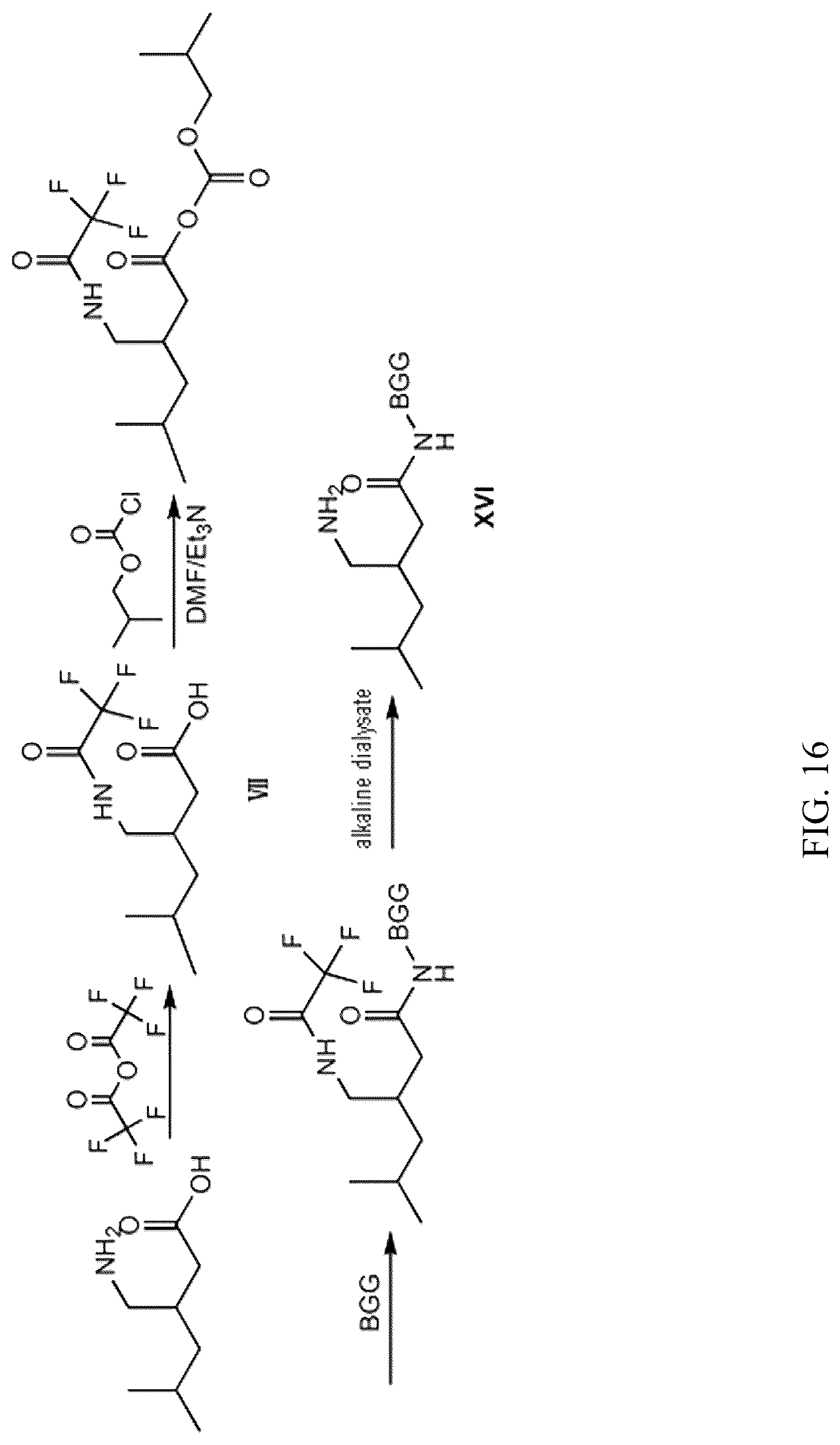 Patent US12304882 Figure 16 – Pregabalin artificial hapten, artificial antigen and preparation method therefor and application thereof