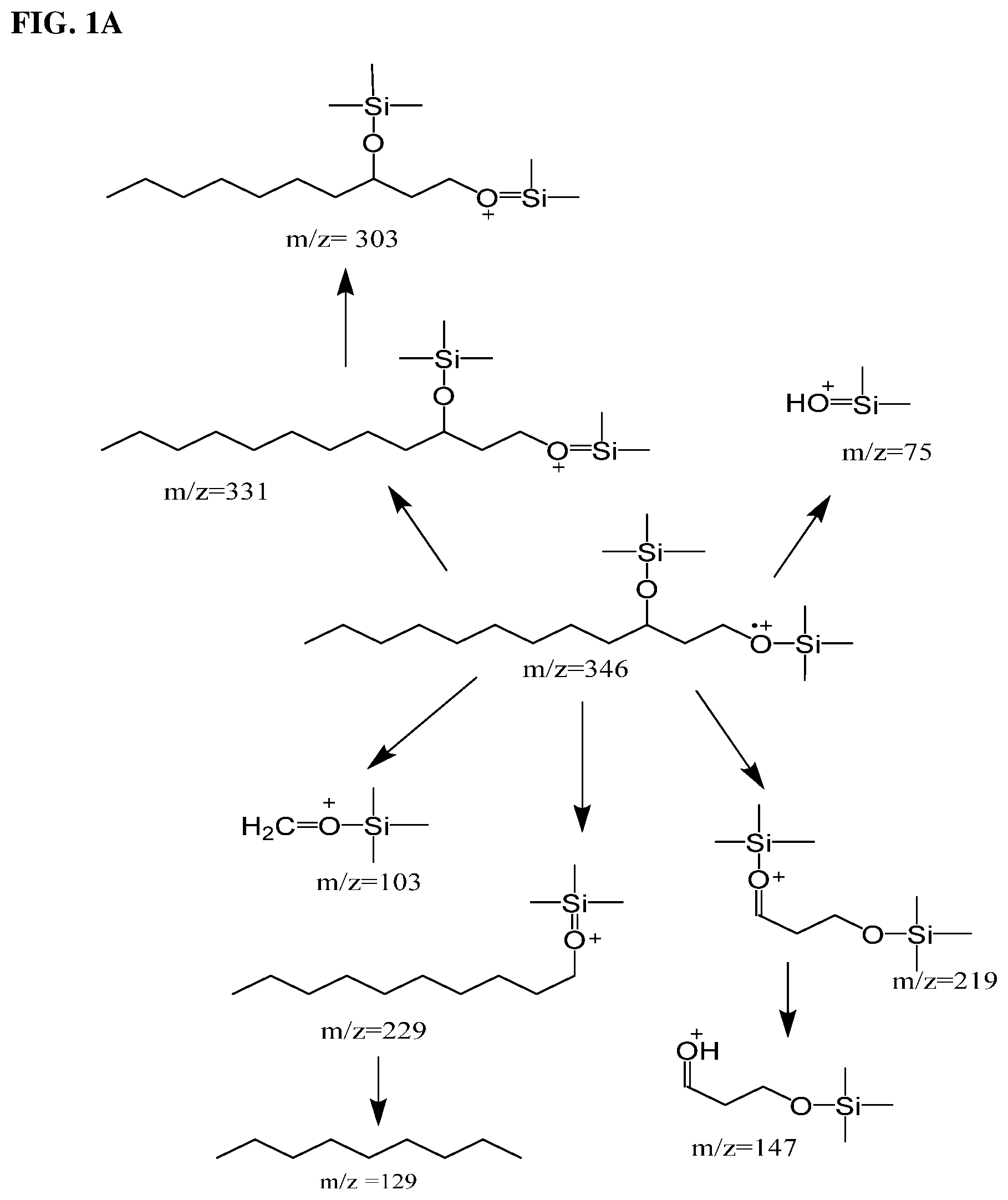 Patent US12304883 Figure 1 – 1,3-fatty diol compounds and derivatives thereof