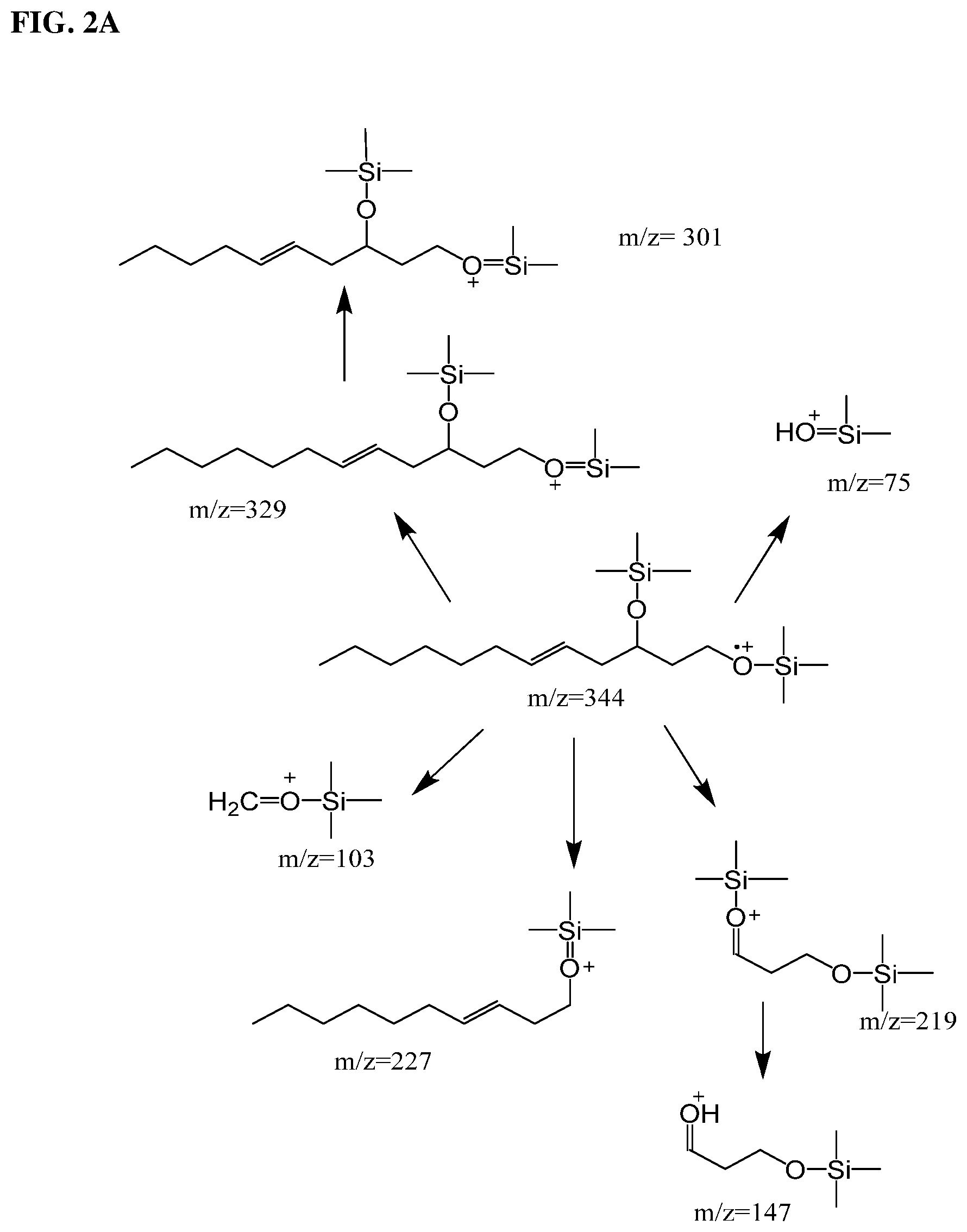 Patent US12304883 Figure 3 – 1,3-fatty diol compounds and derivatives thereof
