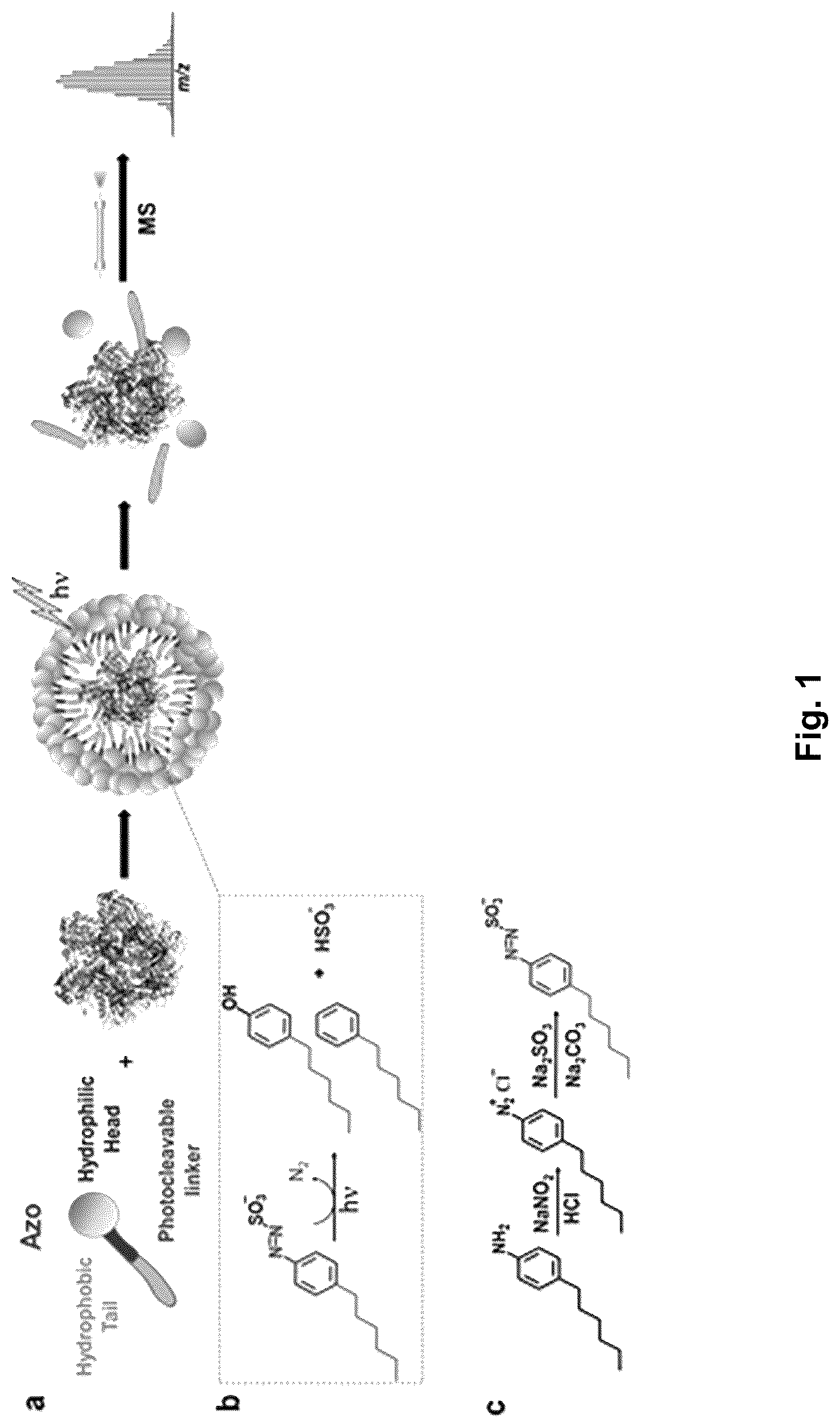 Patent US12304884 Figure 1 – Photo-cleavable surfactants