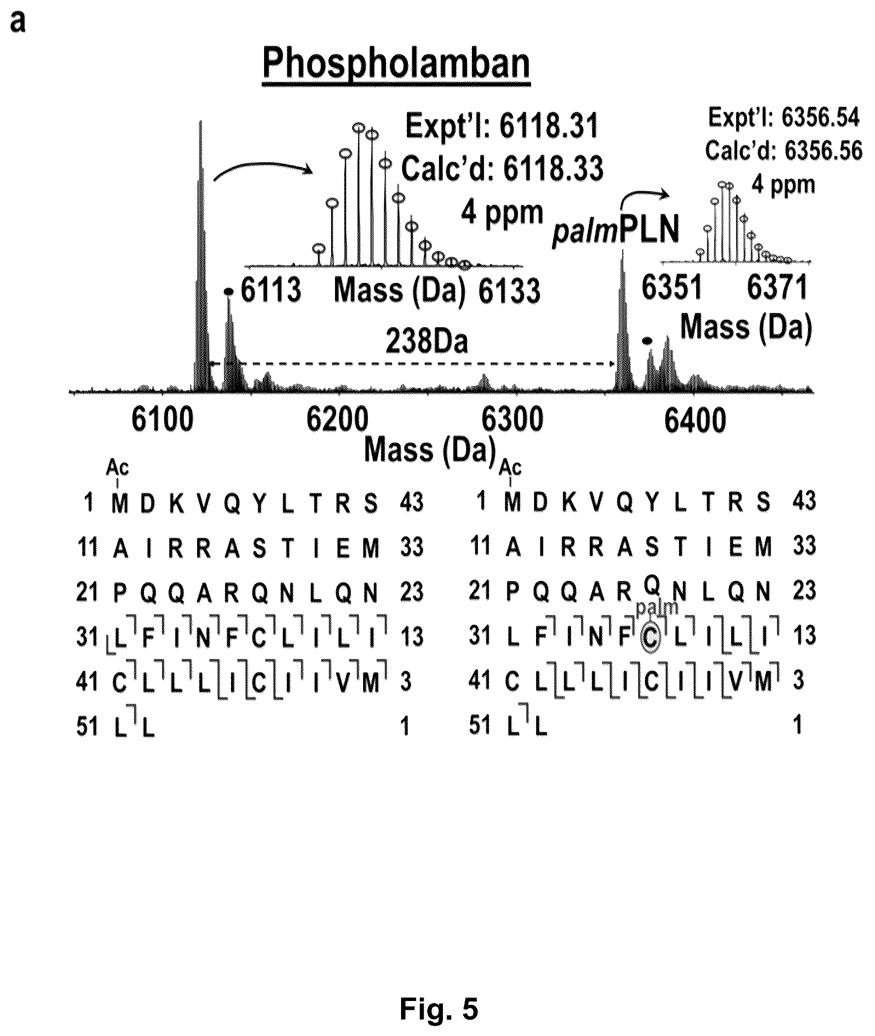 Patent US12304884 Figure 5 – Photo-cleavable surfactants