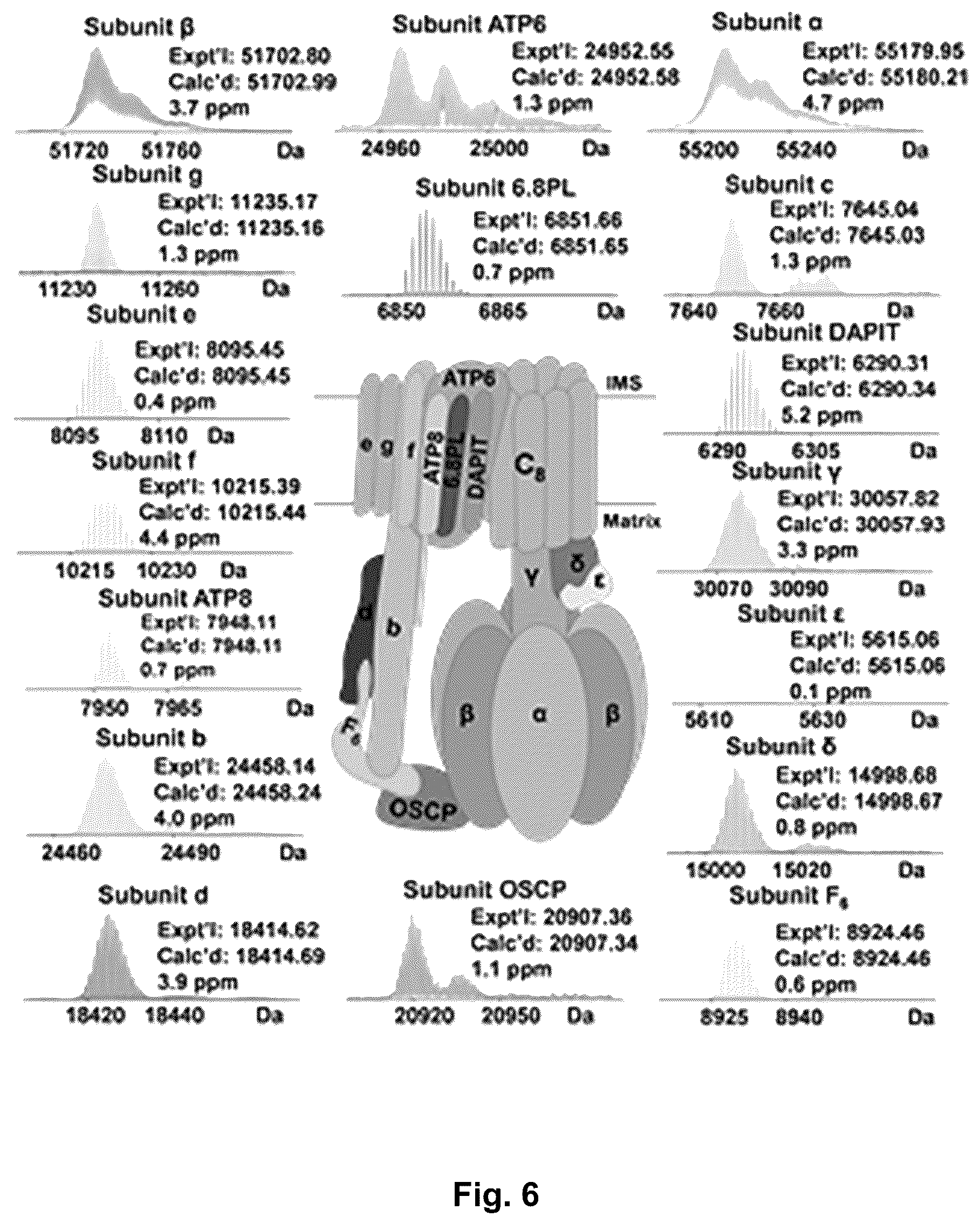 Patent US12304884 Figure 7 – Photo-cleavable surfactants