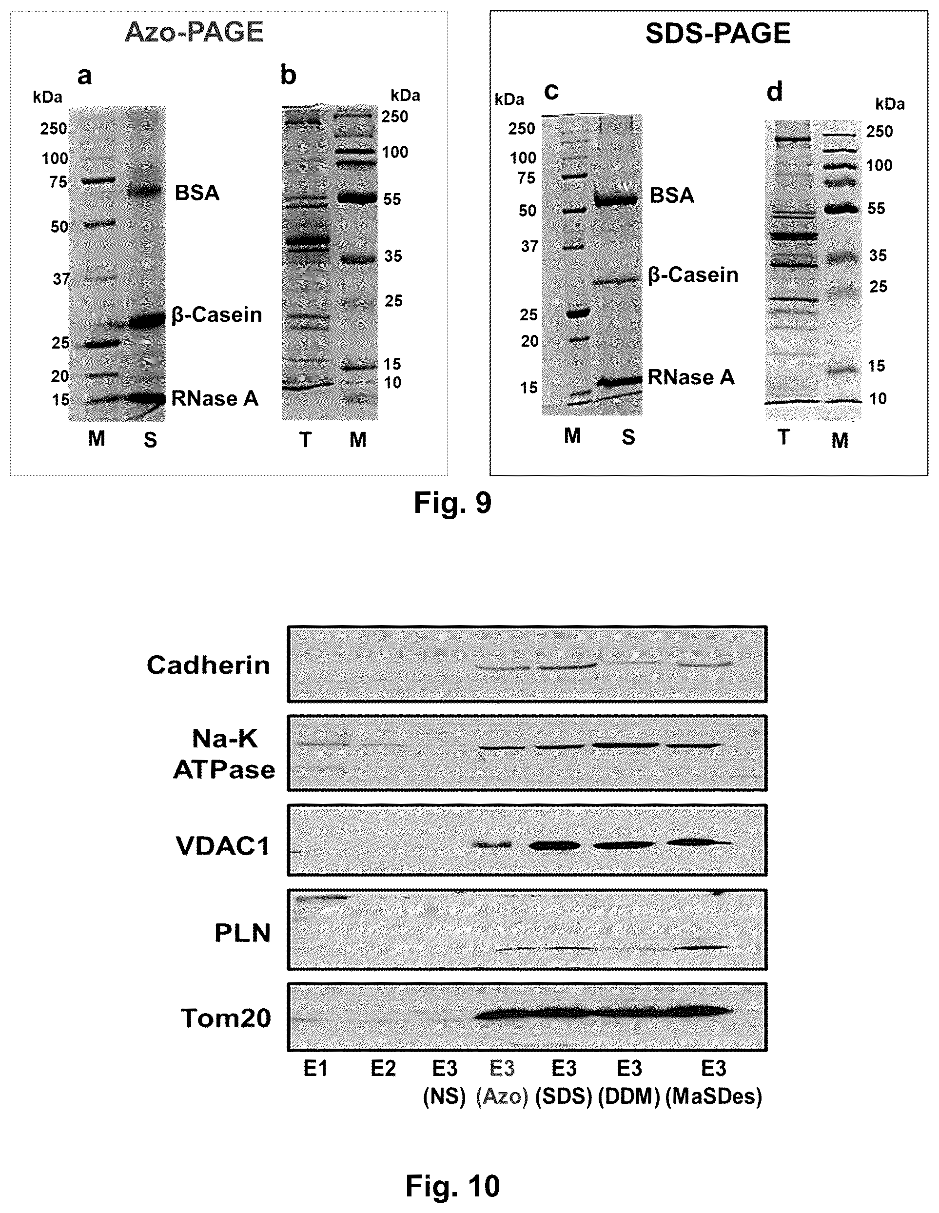 Patent US12304884 Figure 10 – Photo-cleavable surfactants