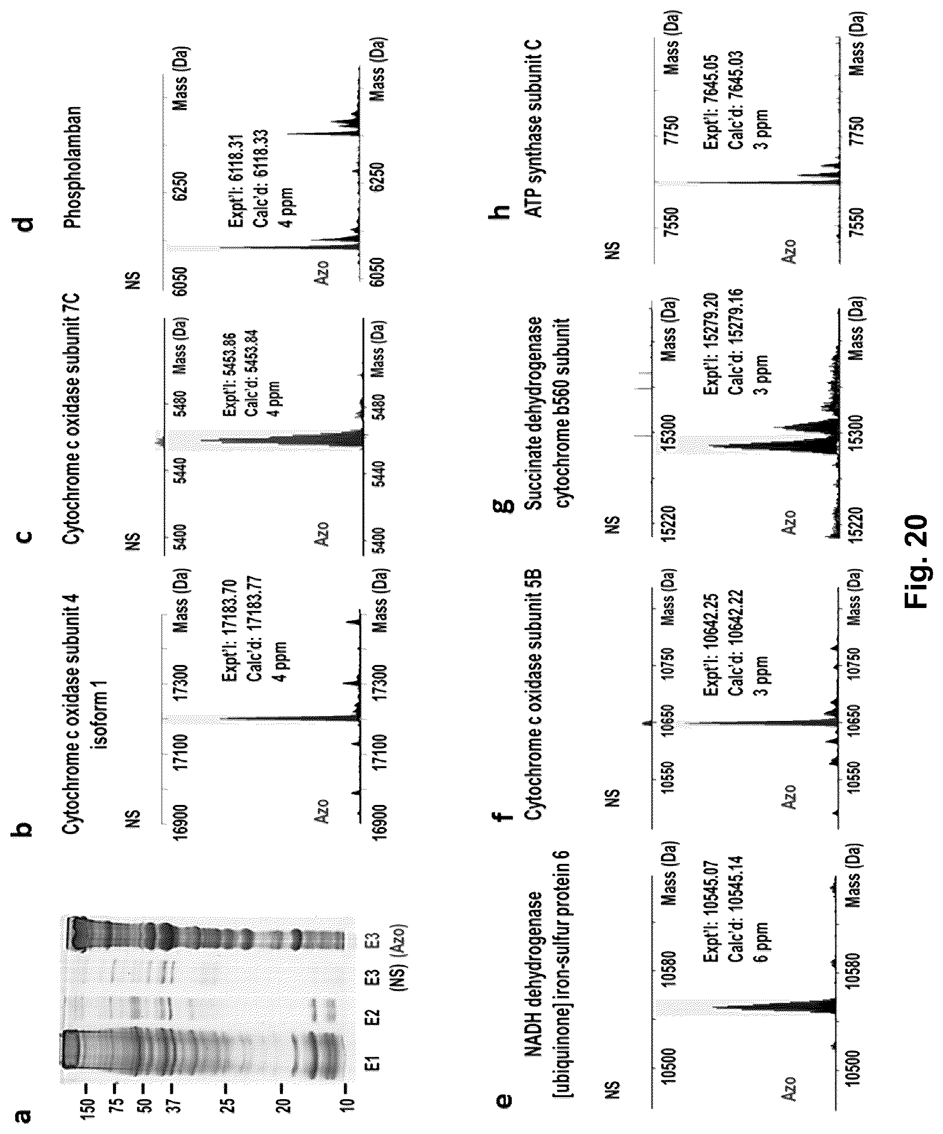 Patent US12304884 Figure 20 – Photo-cleavable surfactants