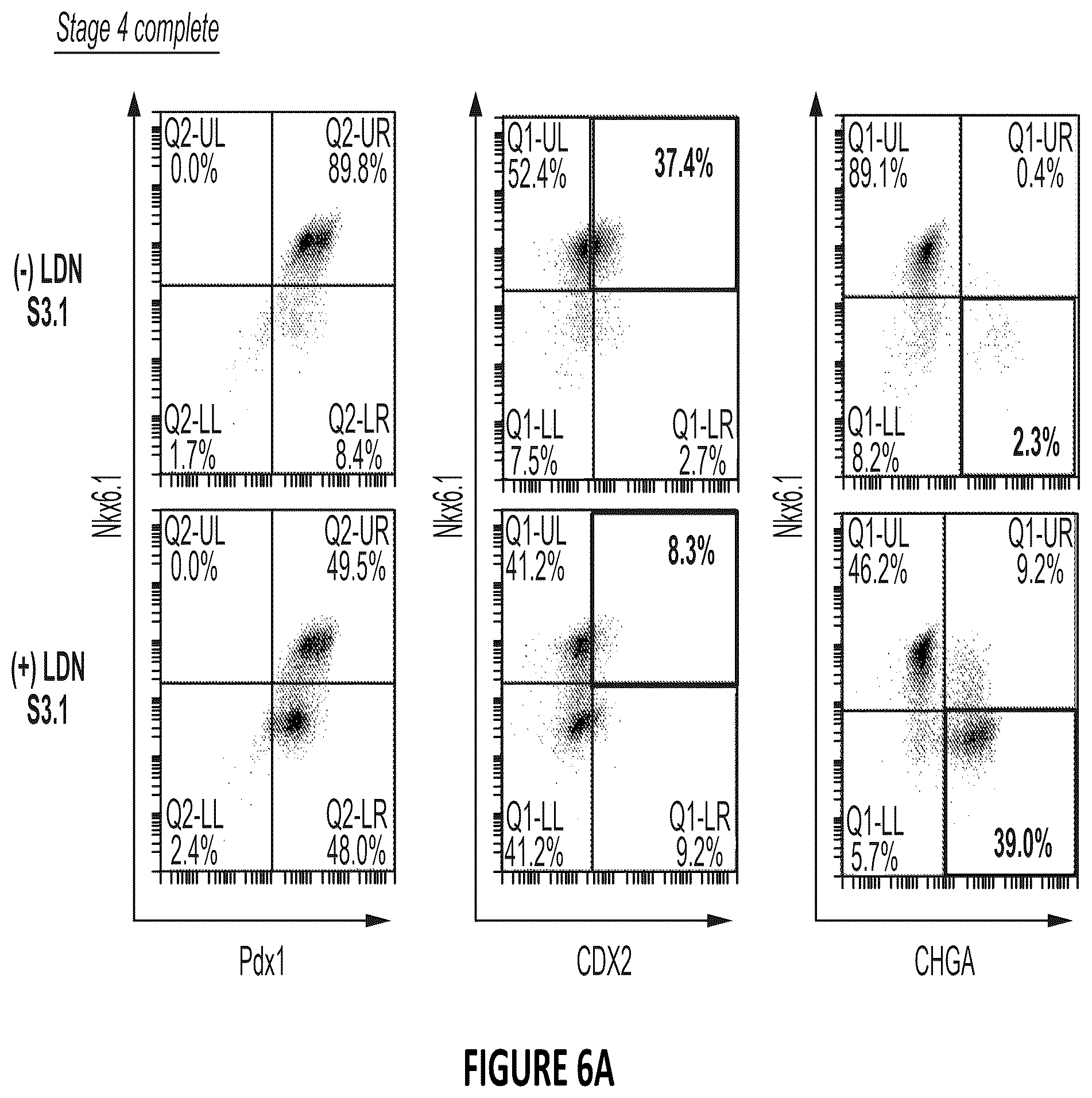 Patent US12304900 Figure 7 – Islet cell manufacturing compositions and methods of use