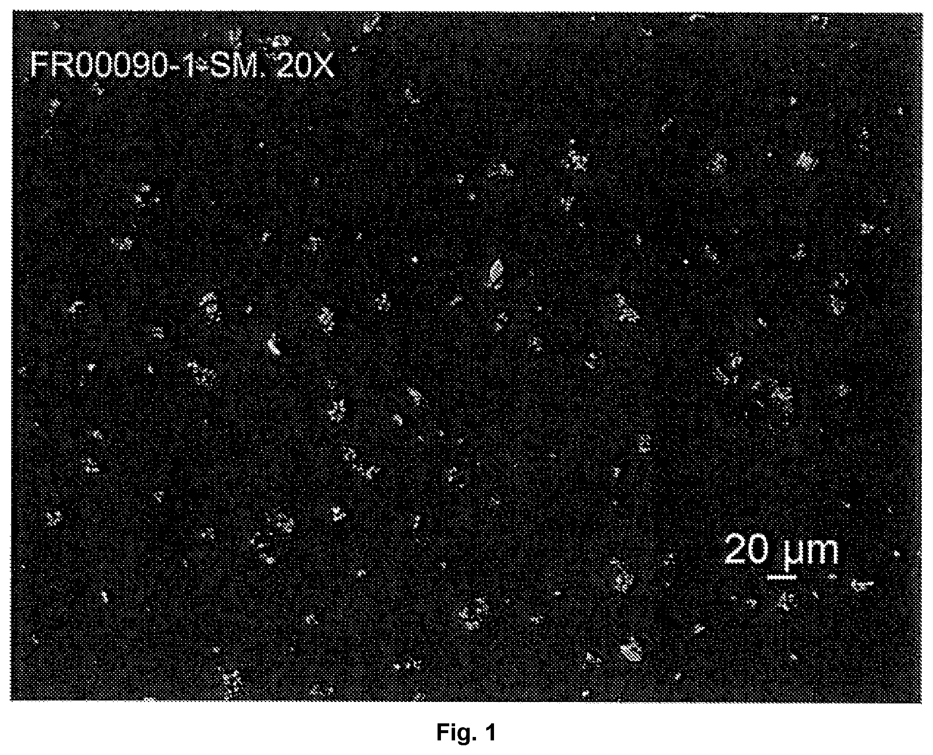 Patent US12304905 — Pharmaceutical salts of benzothiazol compounds, polymorphs and methods for preparation thereof — Figure 1