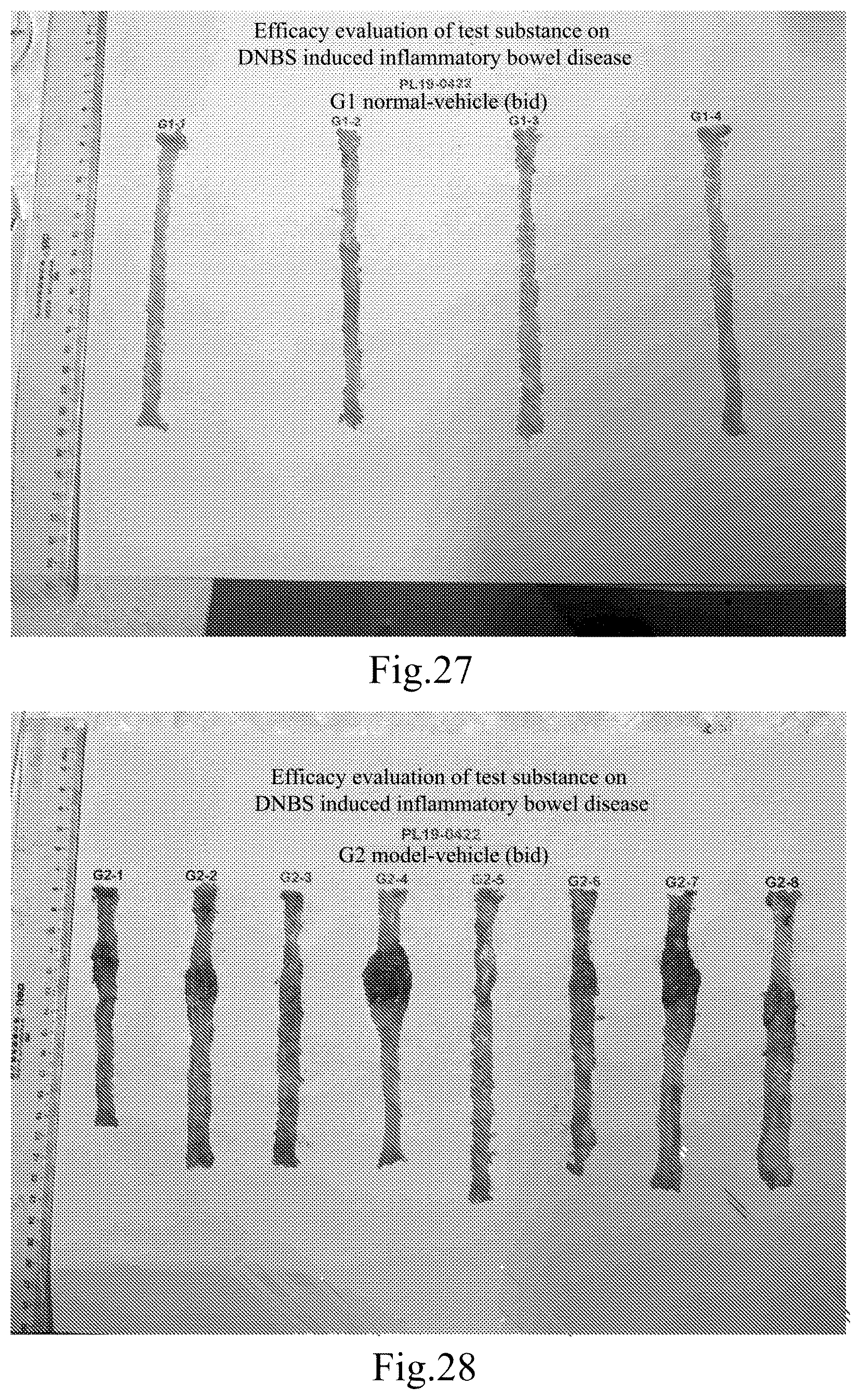 Patent US12304910 Figure 14 – Janus kinase (JAK) family inhibitor, preparation of same, and applications thereof