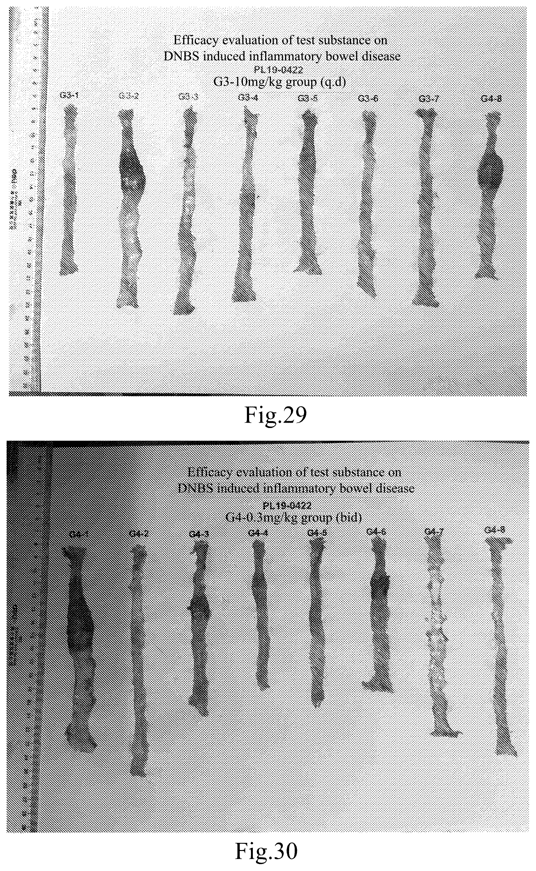 Patent US12304910 Figure 15 – Janus kinase (JAK) family inhibitor, preparation of same, and applications thereof