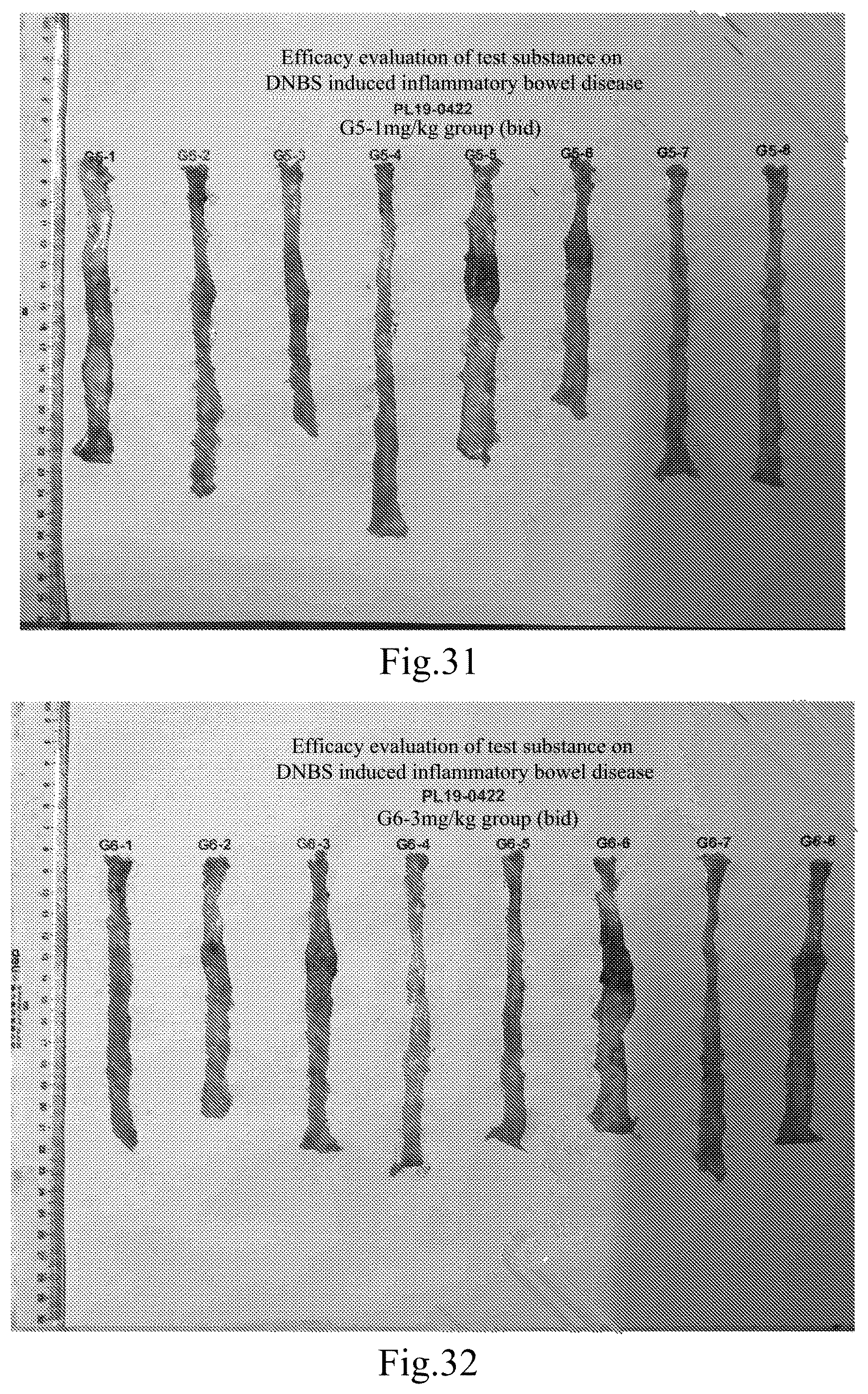 Patent US12304910 Figure 16 – Janus kinase (JAK) family inhibitor, preparation of same, and applications thereof